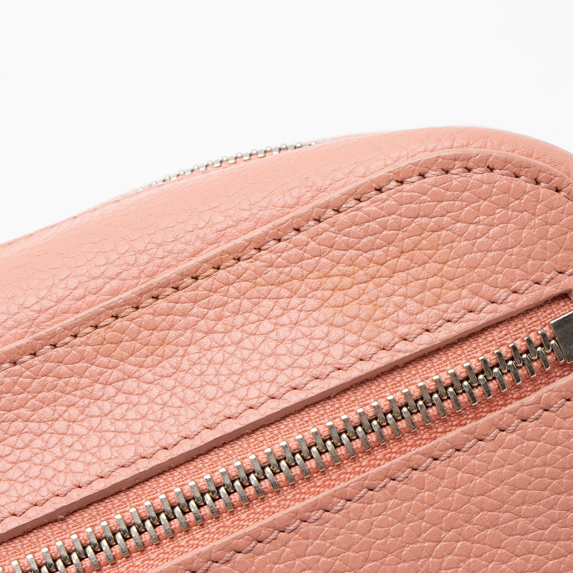 Alexander McQueen Leather Skull Camera Bag