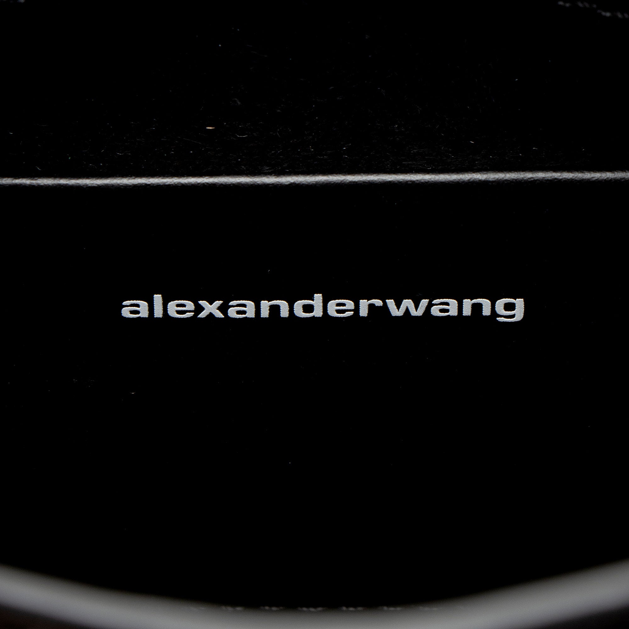 Alexander Wang Leather Orb Small Shoulder Bag