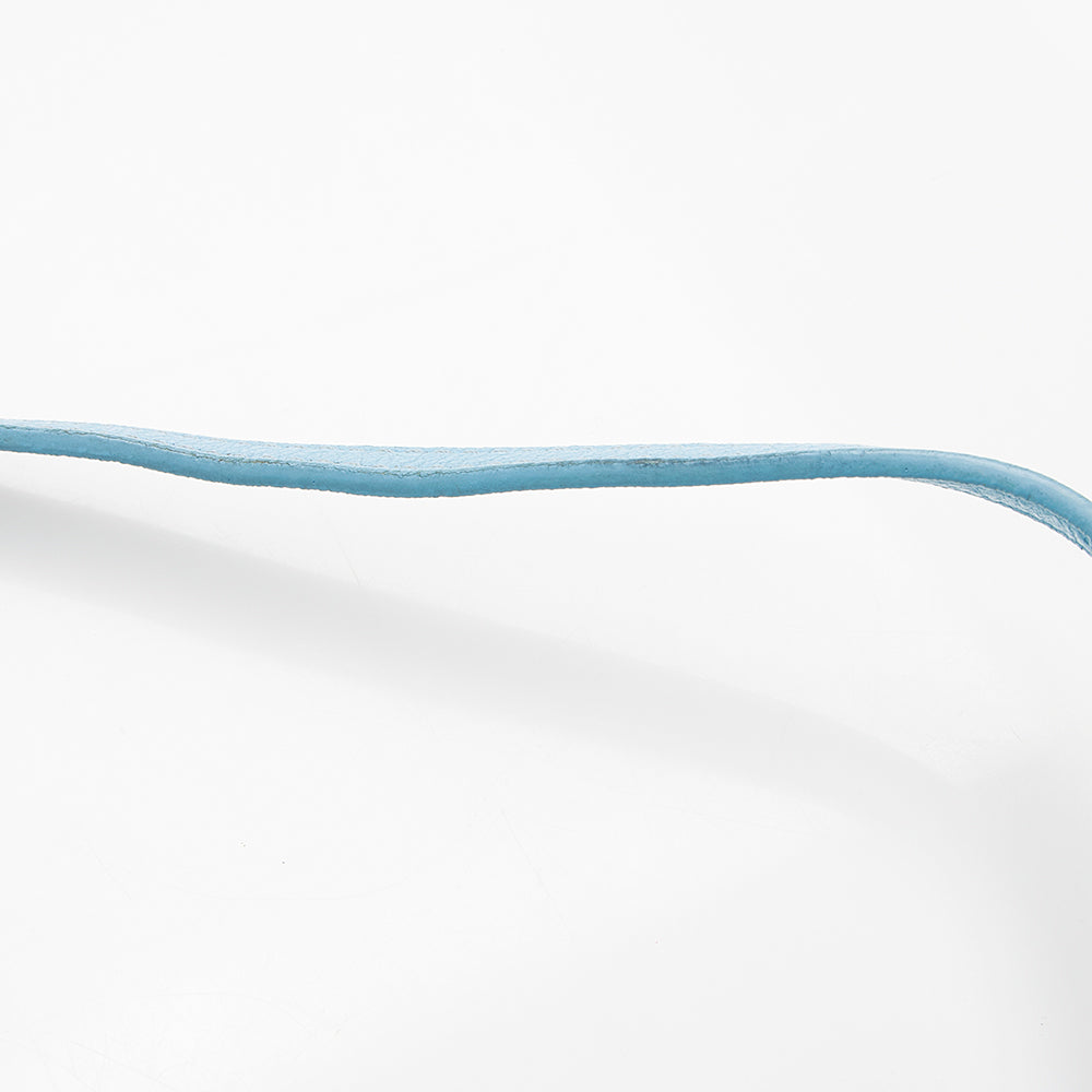 Balenciaga Calfskin Everyday XS Camera Bag (SHF-13607)