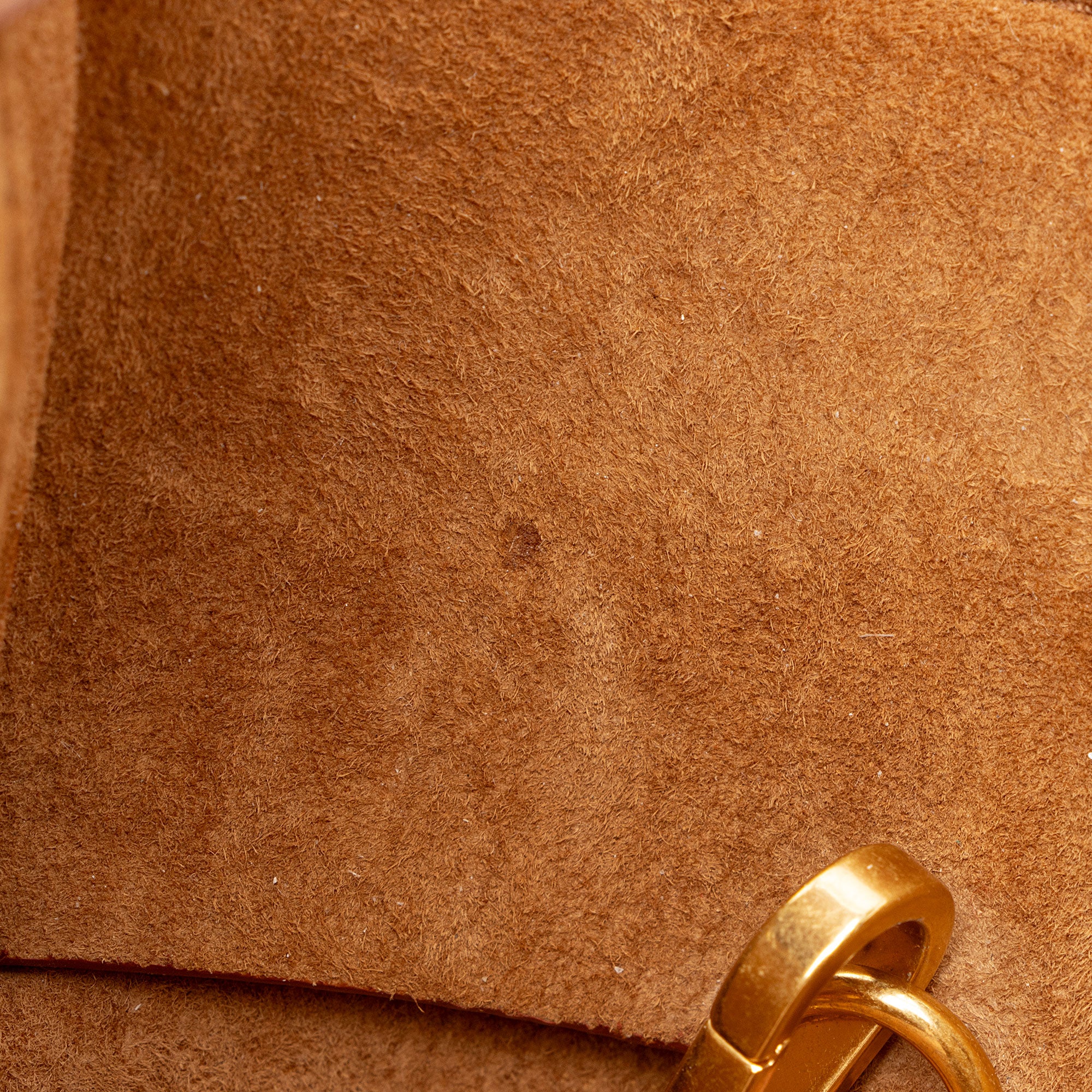 Bottega Veneta Lambskin Arco Mini Tote