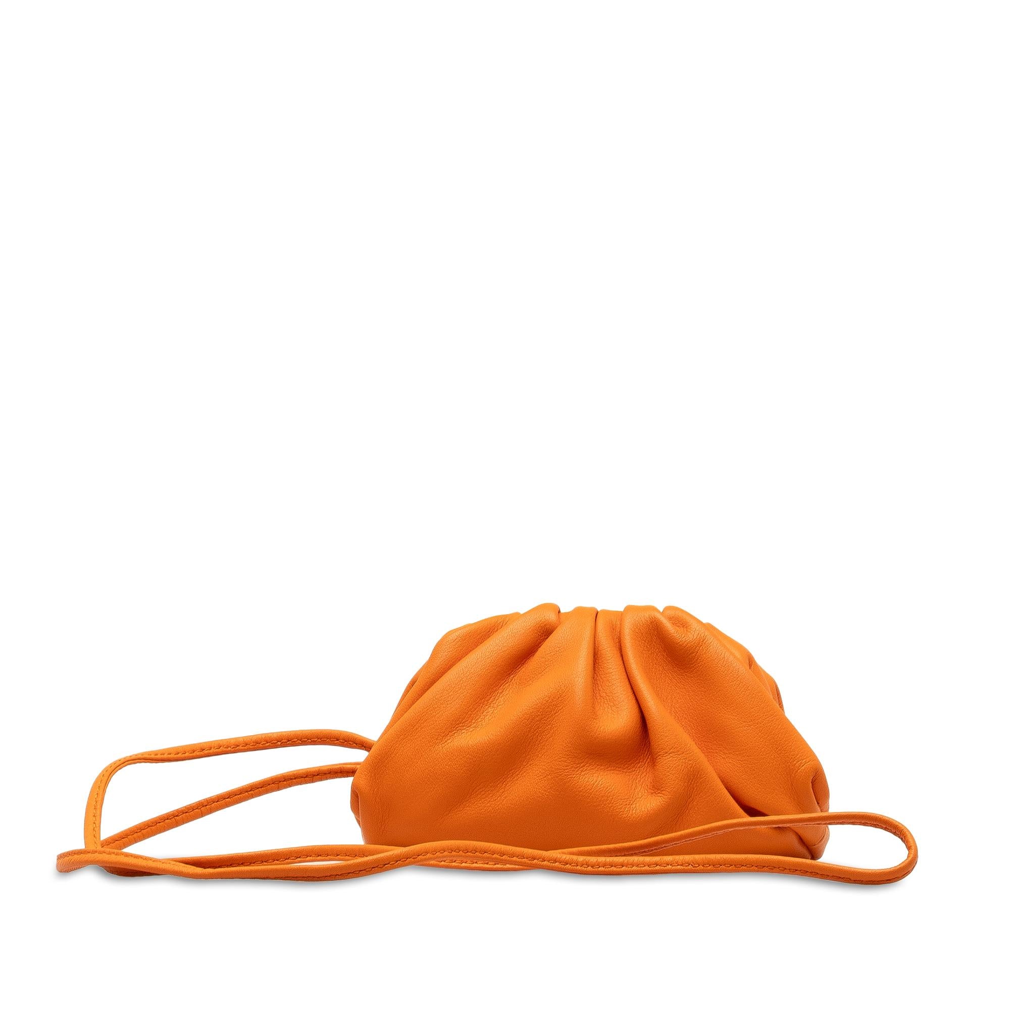 Bottega Veneta The Mini Pouch (SHG-BAziHt)