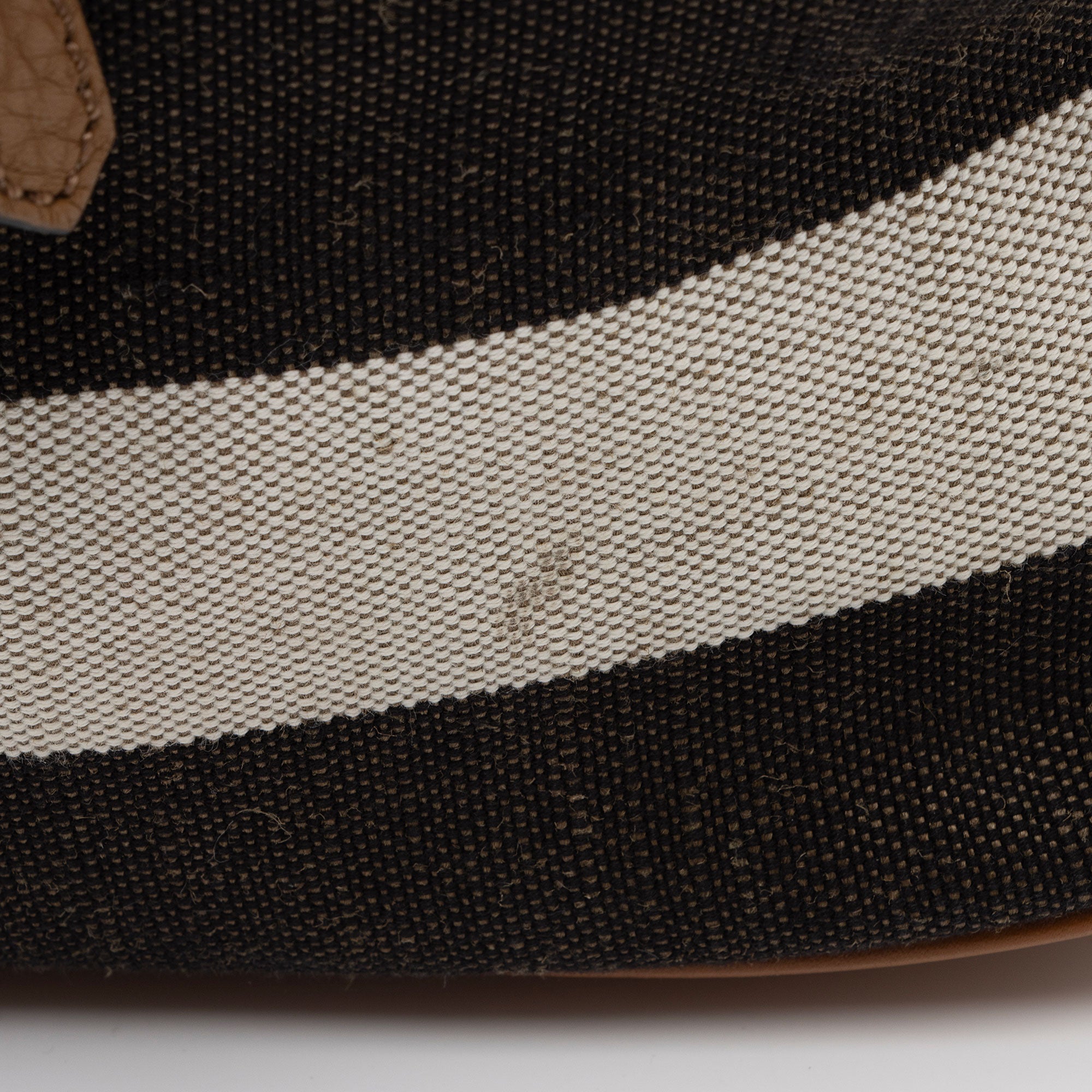 Burberry Canvas Check Tassel Ashby Medium Hobo (SHF-KQF93d)