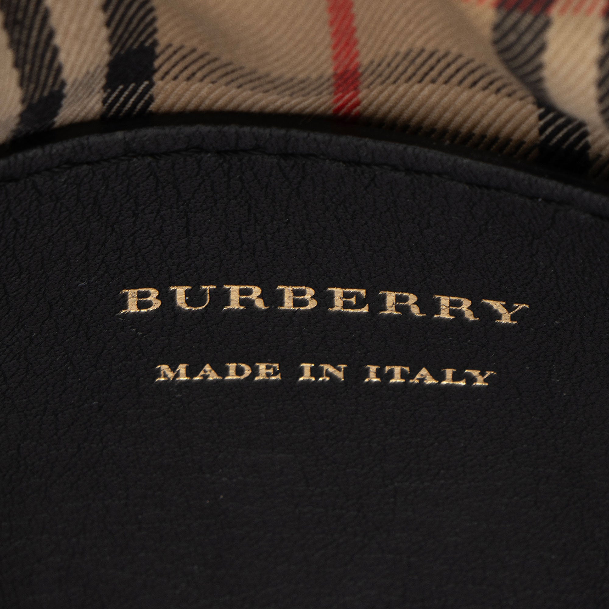 Burberry Leather Link Camera Bag