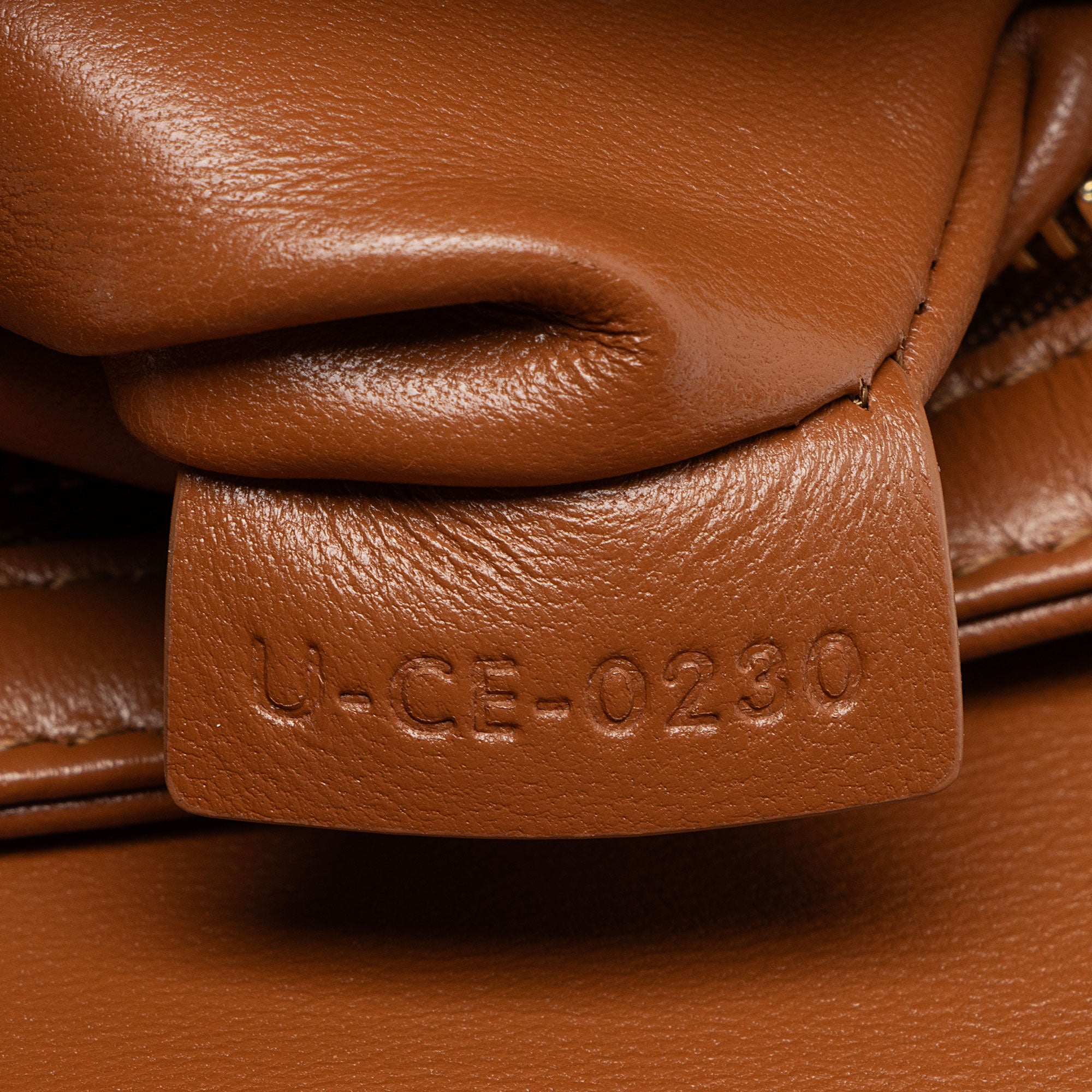 Celine Textile Calfskin Triomphe Teen Shoulder Bag (SHF-JW3M7k)