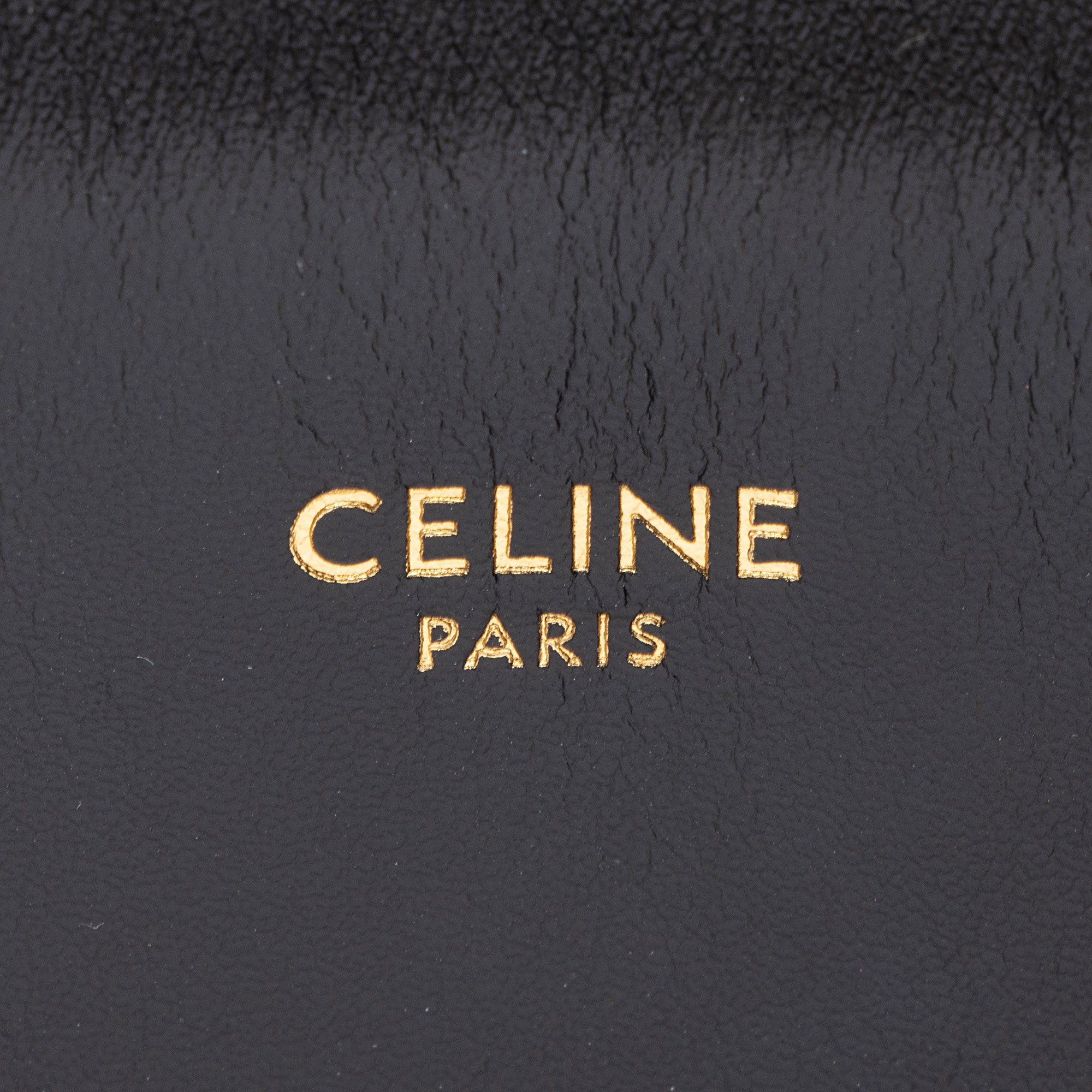 Celine Triomphe Canvas Cabas Vertical Small Tote