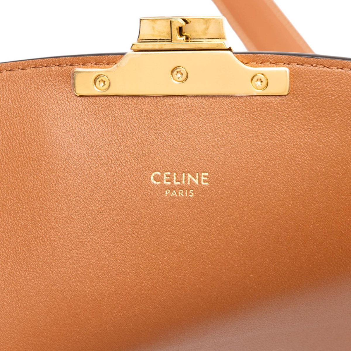 Celine Classique Canvas and Calfskin Triomphe Crossbody