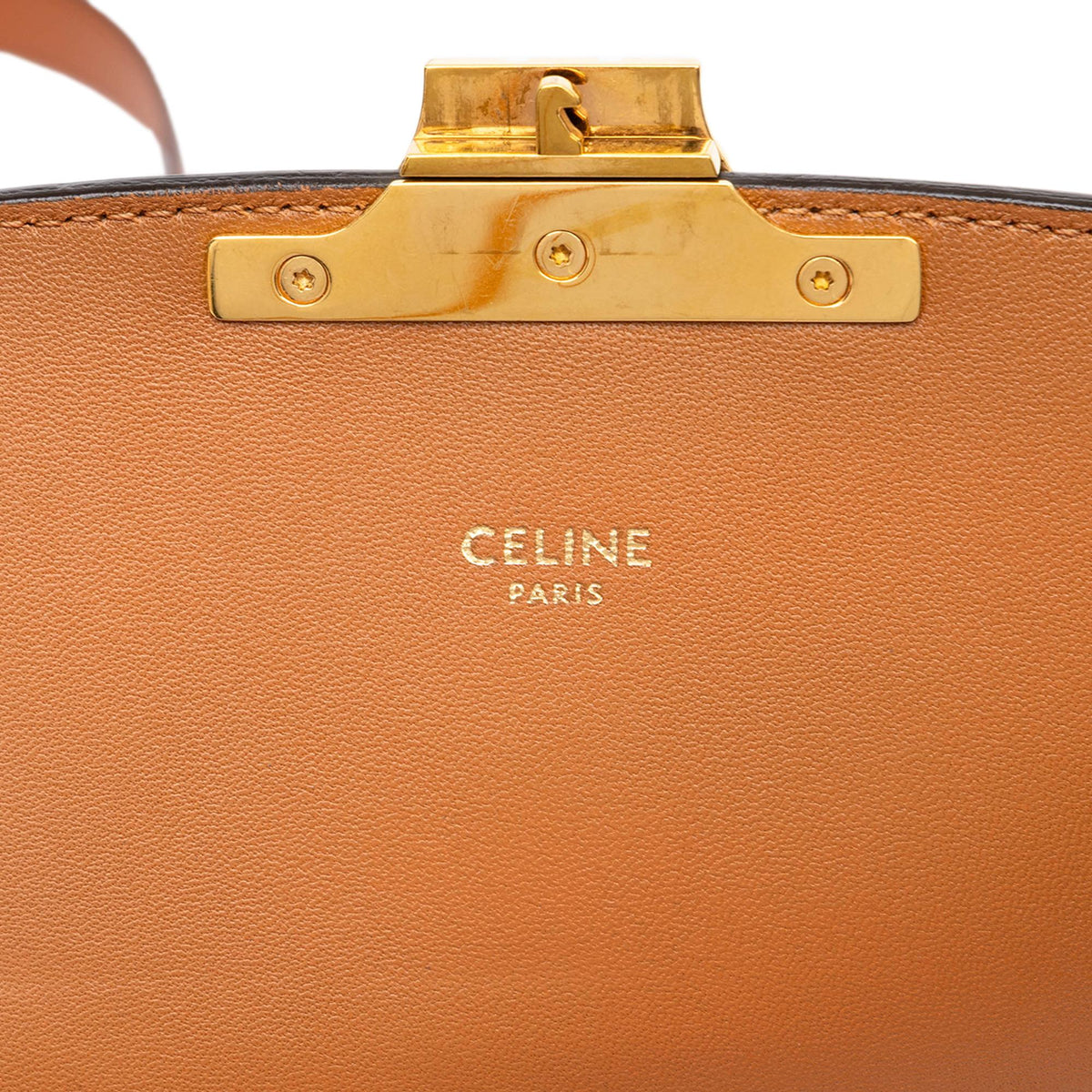 Celine Classique Canvas and Calfskin Triomphe Crossbody