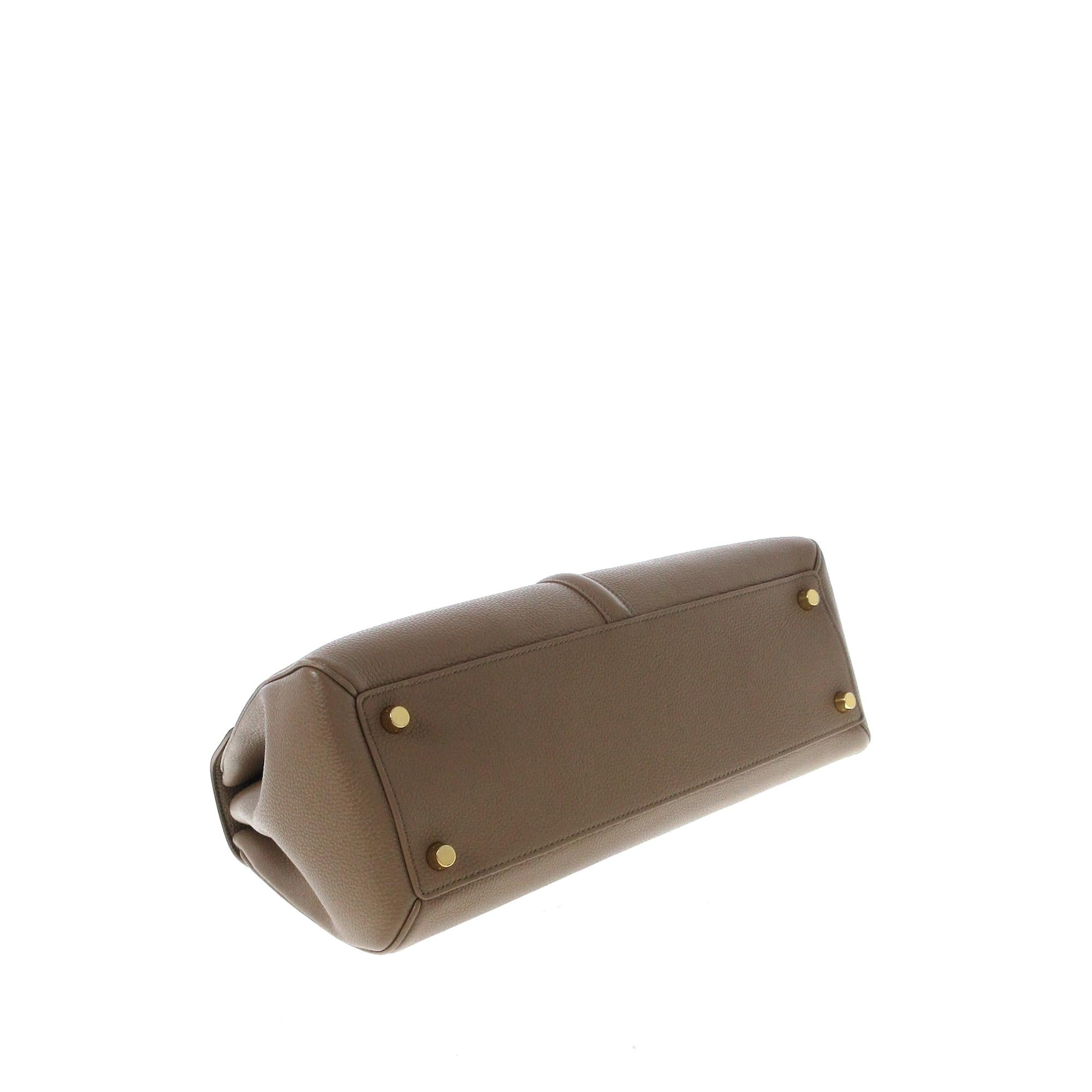 Celine Medium 16 Satchel (SHG-QePpIR)