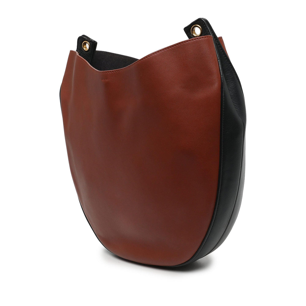 Celine Medium Bicolor Calfskin Trotteur Hobo