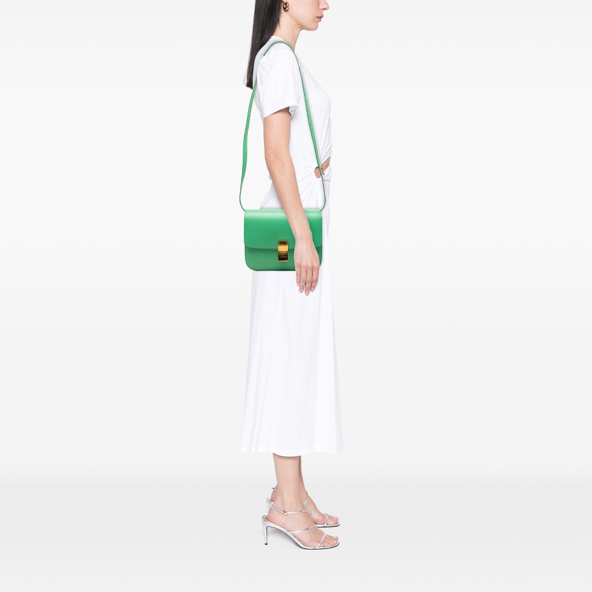 Celine Medium Calfskin Classic Box
