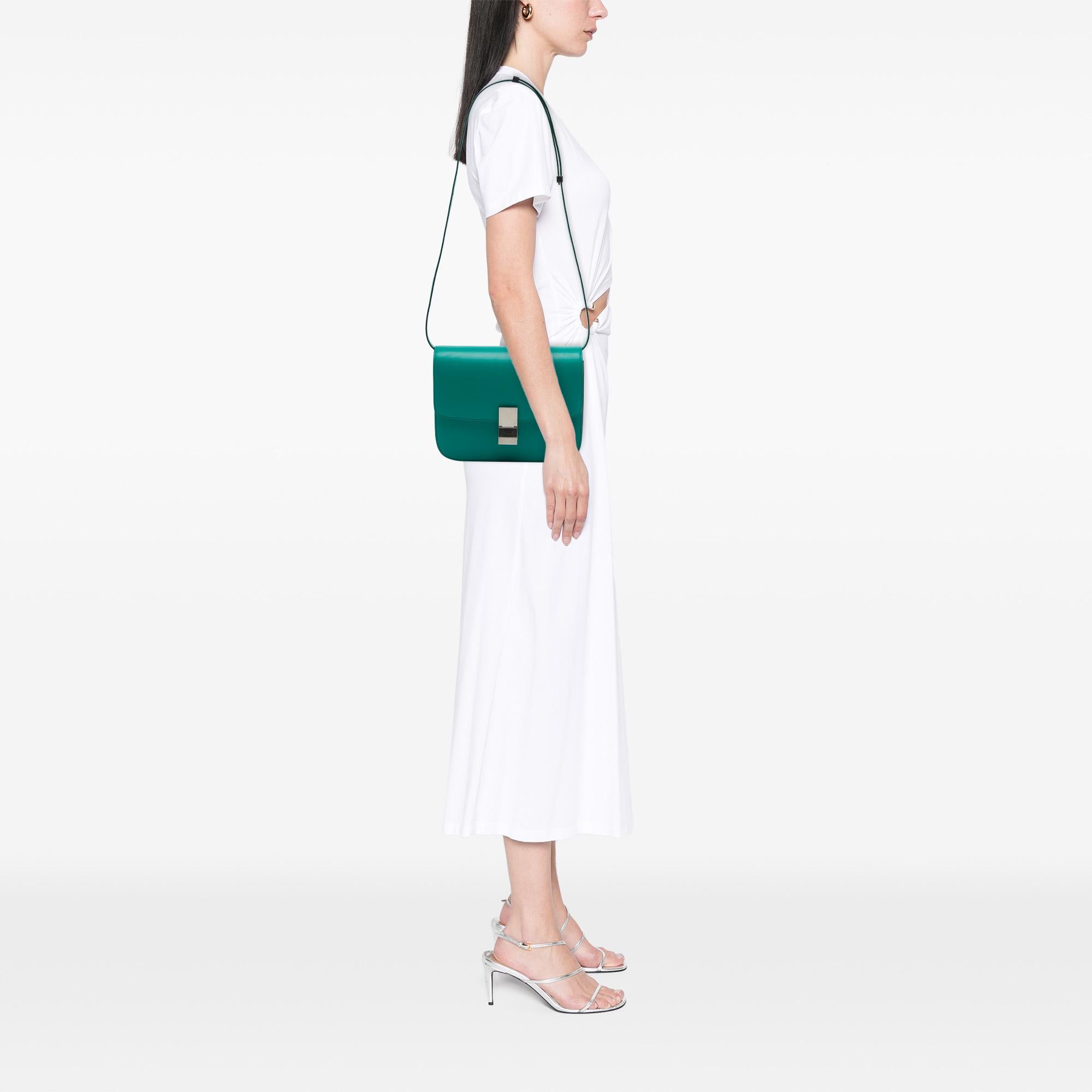 Celine Medium Calfskin Classic Box