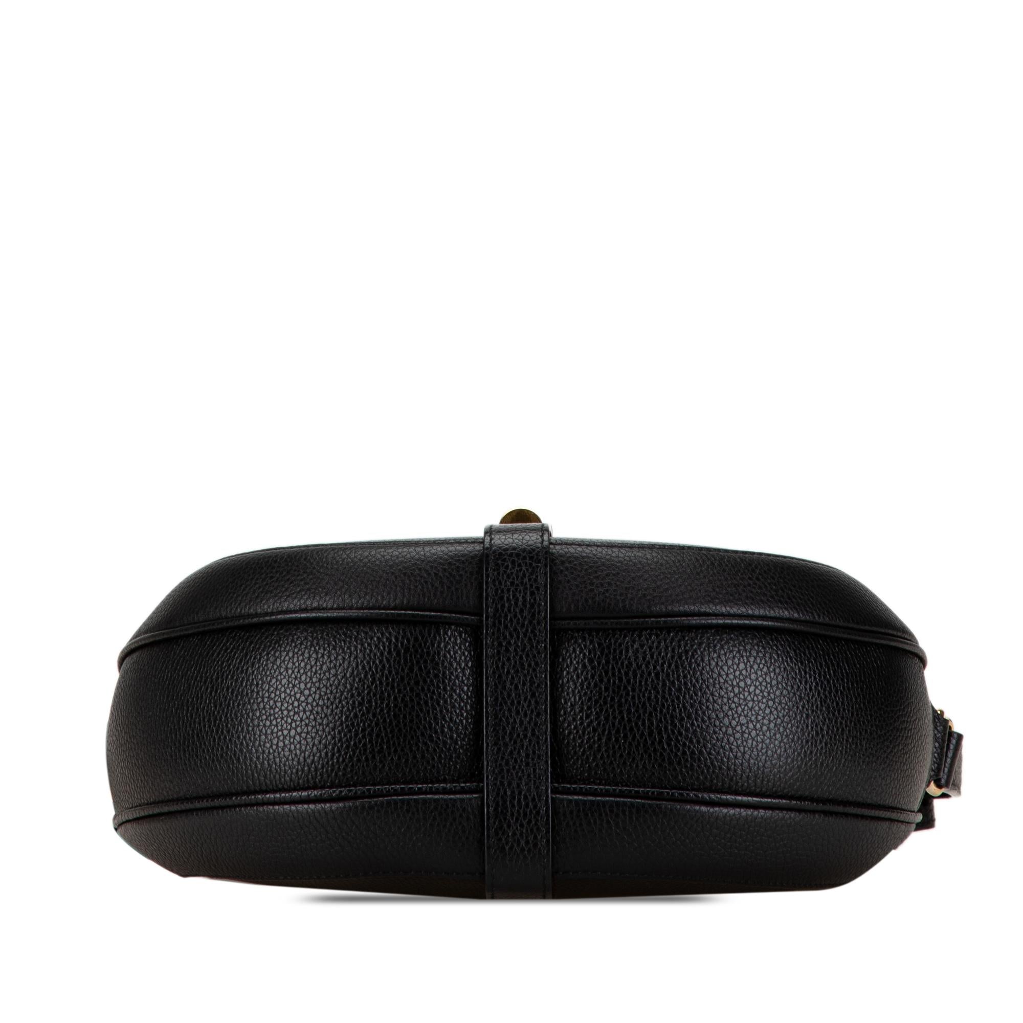 Celine Medium Leather Besace 16 Crossbody (SHG-TJFgph)