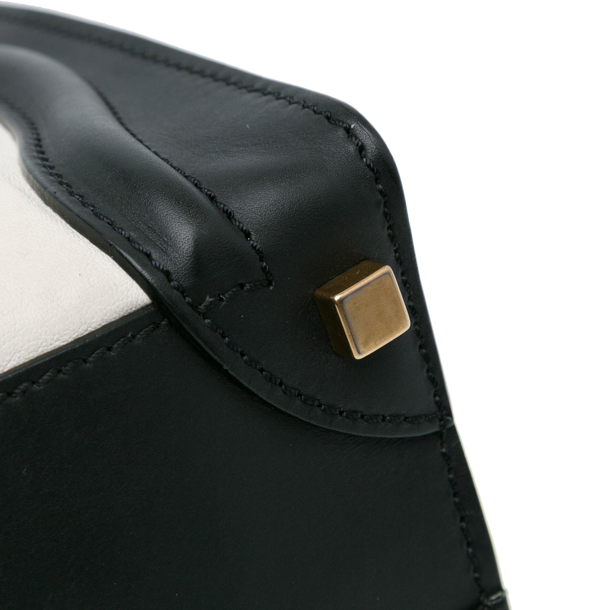 Celine Micro Tricolor Luggage Tote (SHG-rmDxa0)