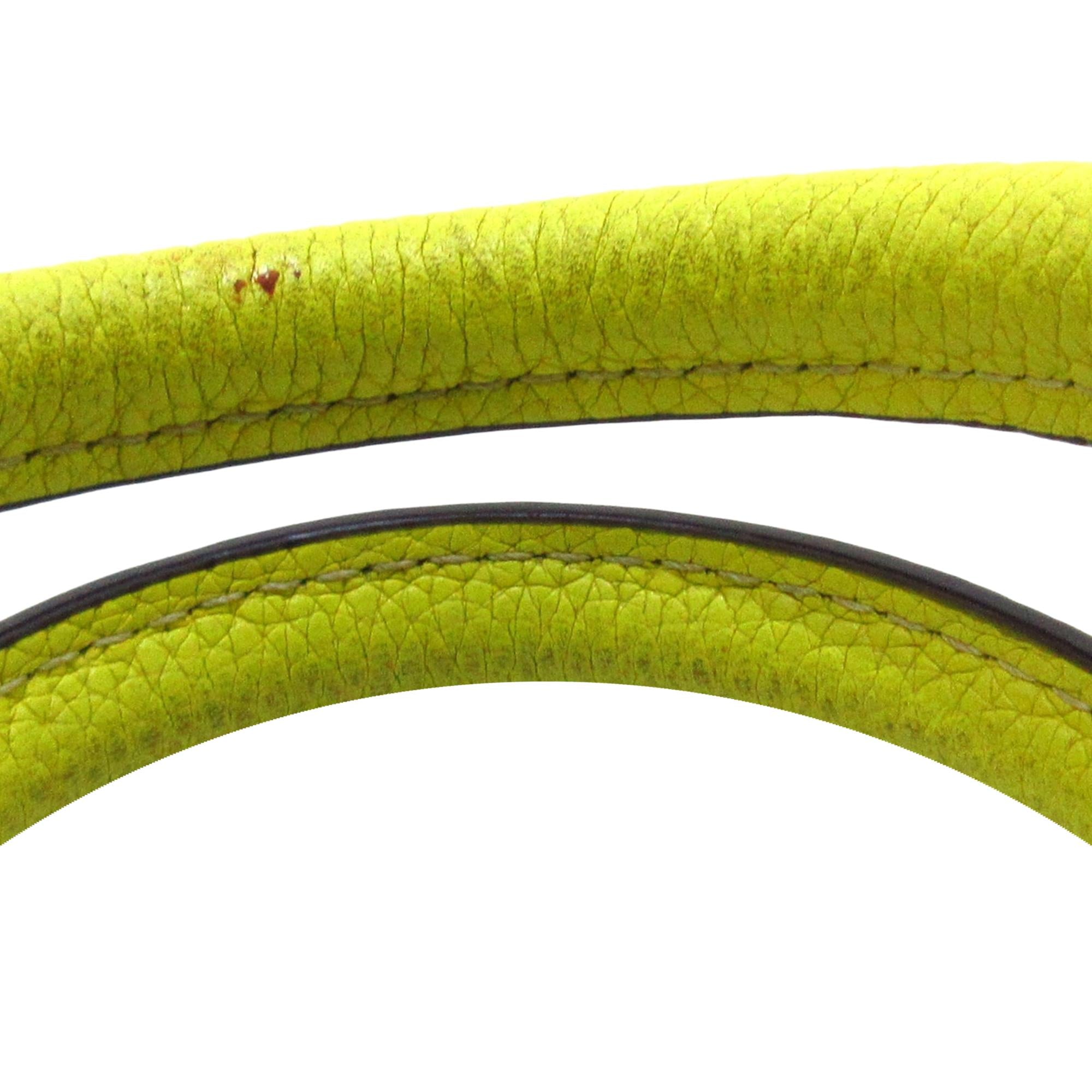 Celine Nano Luggage Tote Leather Satchel (SHG-37945)