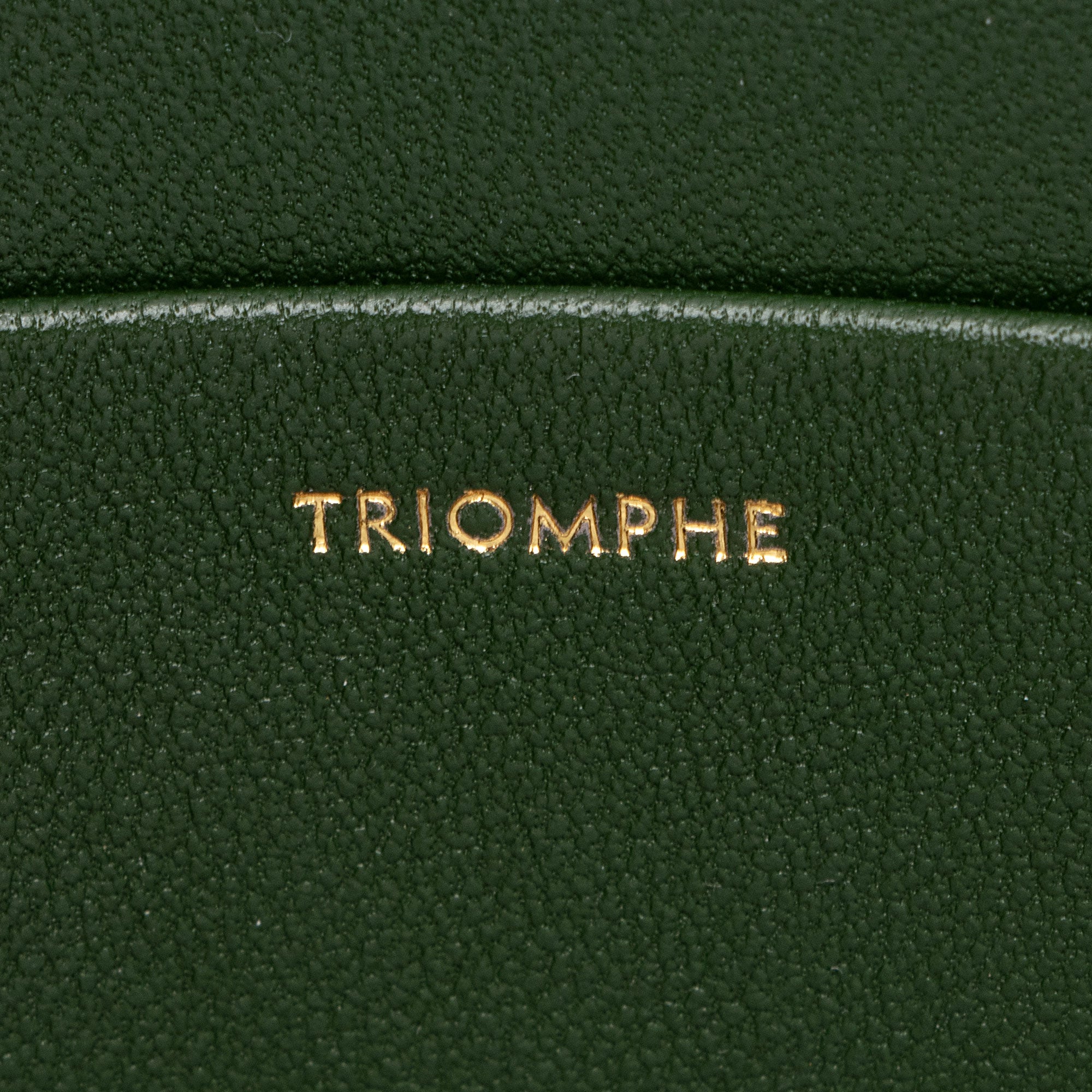 Celine Shiny Calfskin Triomphe Classique Shoulder Bag