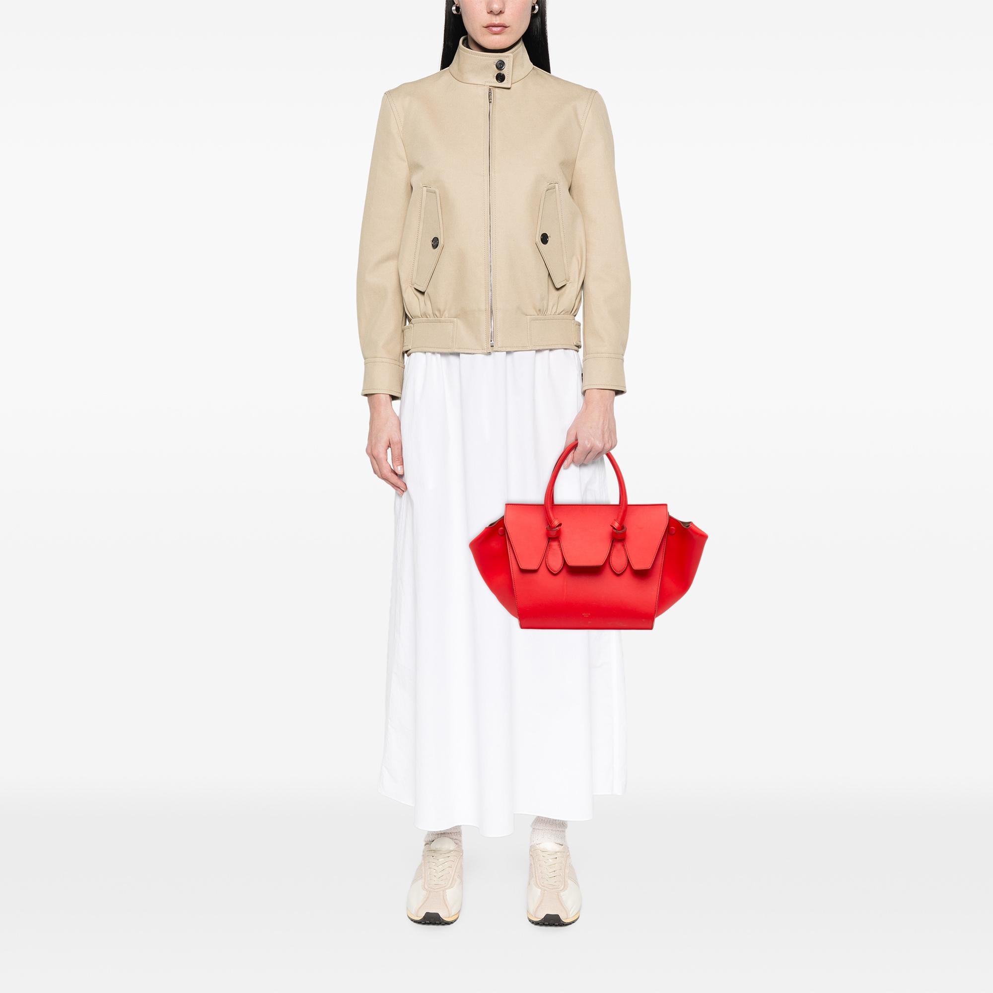 Celine Small Smooth Calfskin Tie Knot Handbag