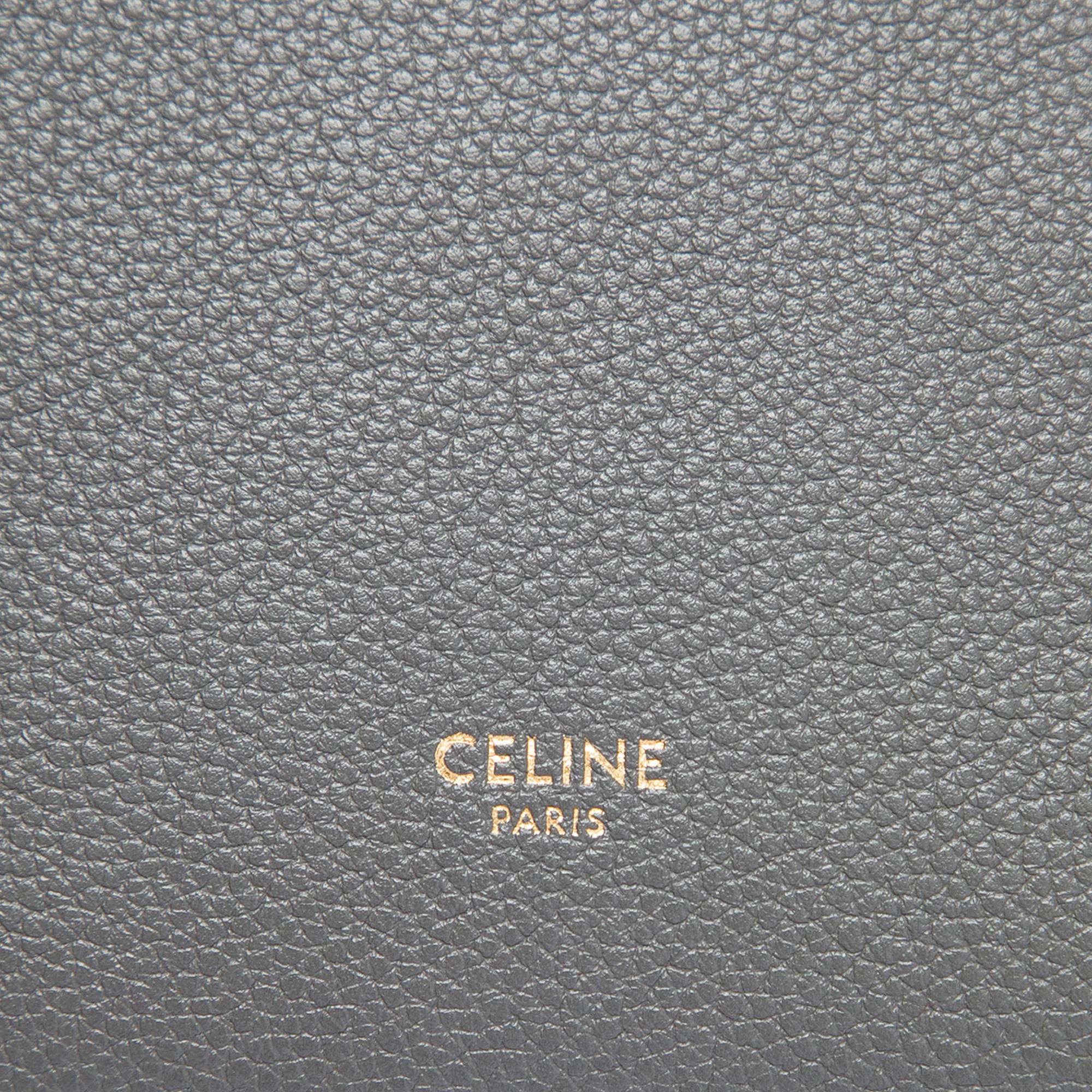 Celine Small Soft Grained Calfskin Seau Sangle Bucket Bag