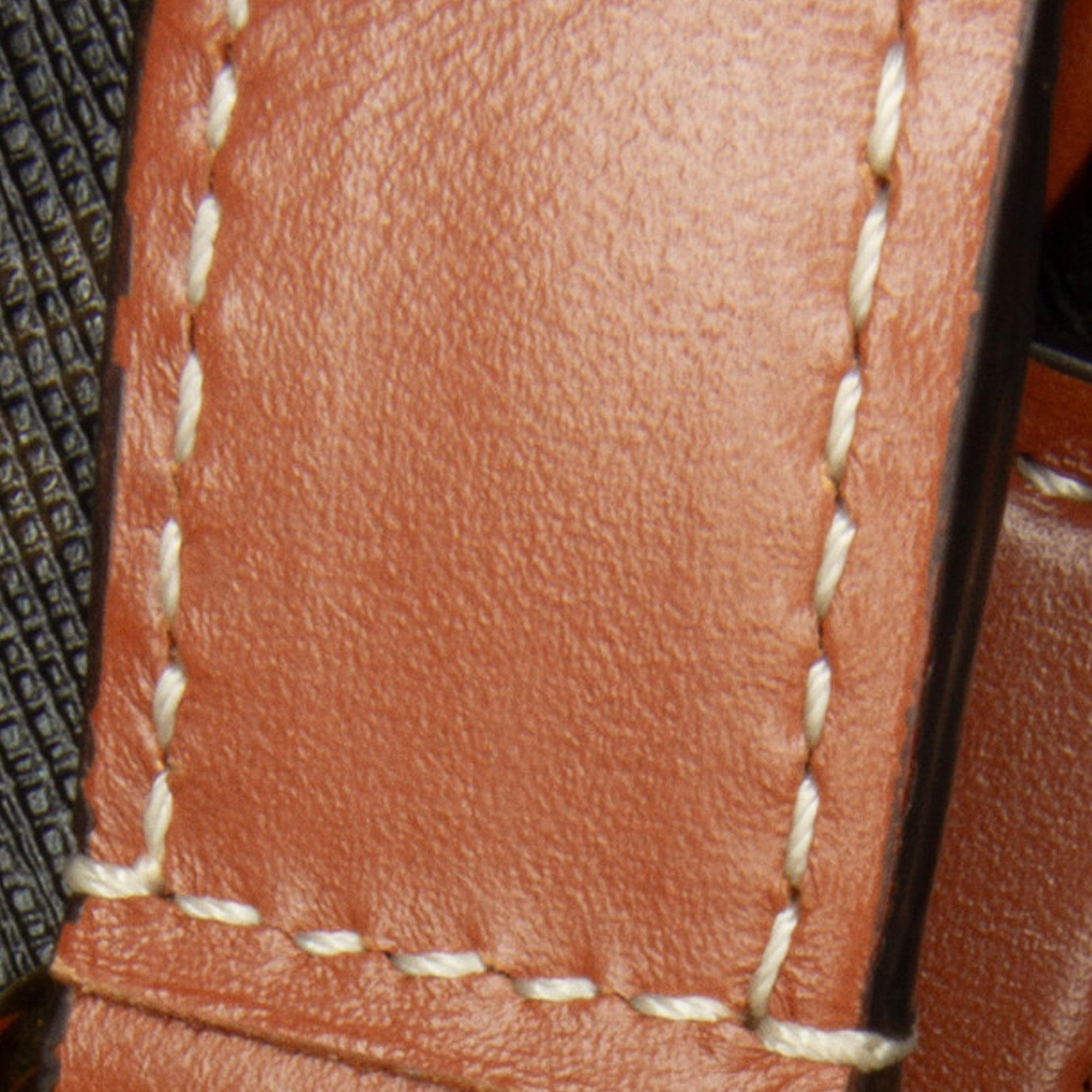 Celine Triomphe Bucket Bag (SHG-ypeF0N)