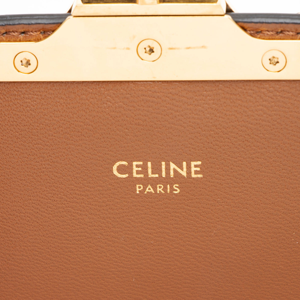 Celine Triomphe Canvas Calfskin Teen Shoulder Bag