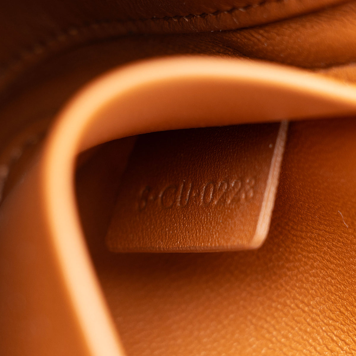 Celine Triomphe Canvas Claude Shoulder Bag