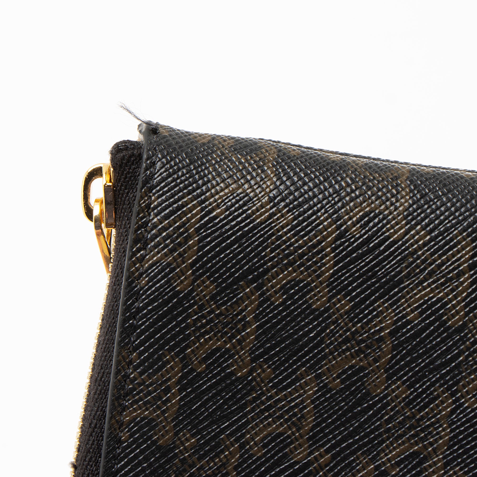 Celine Triomphe Canvas Logo Coin Pouch