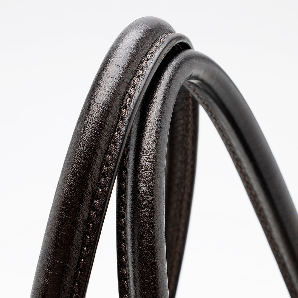 Chanel Metallic Leather Cerf Classic Executive Small Tote (SHF-15194)