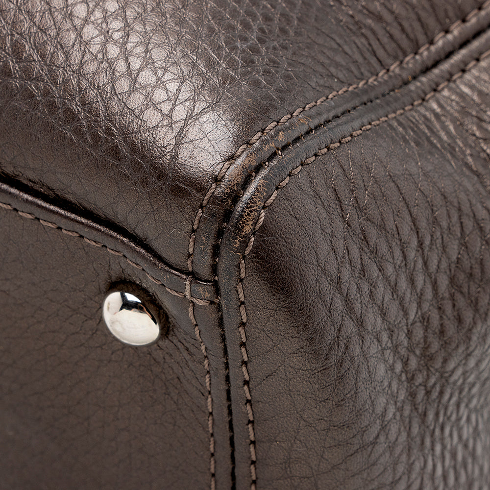 Chanel Metallic Leather Cerf Classic Executive Small Tote (SHF-15194)