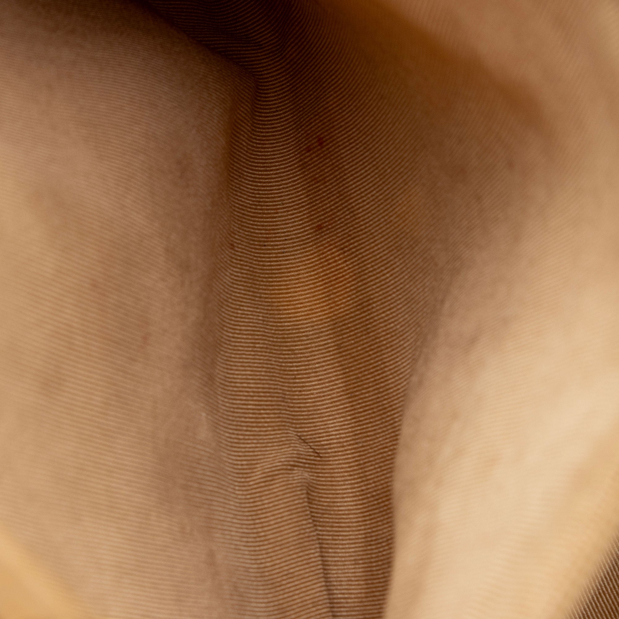 Chanel Caviar Leather Petite Shopping Tote