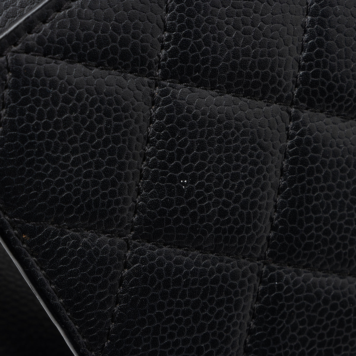 Chanel Goatskin CC Box Flap Bag