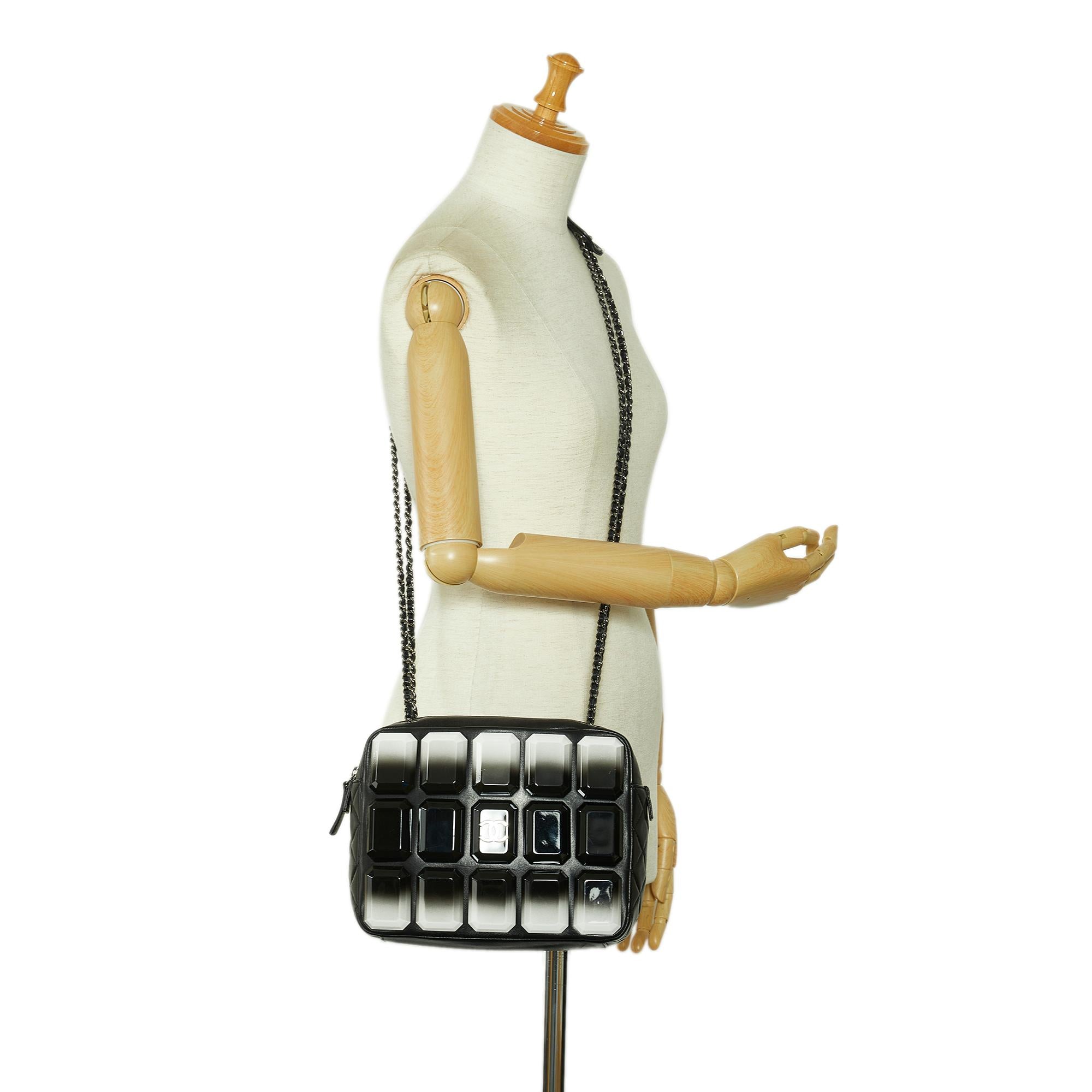 Chanel Lambskin Plexiglass Evening Art Camera Bag (SHG-9R3P43)