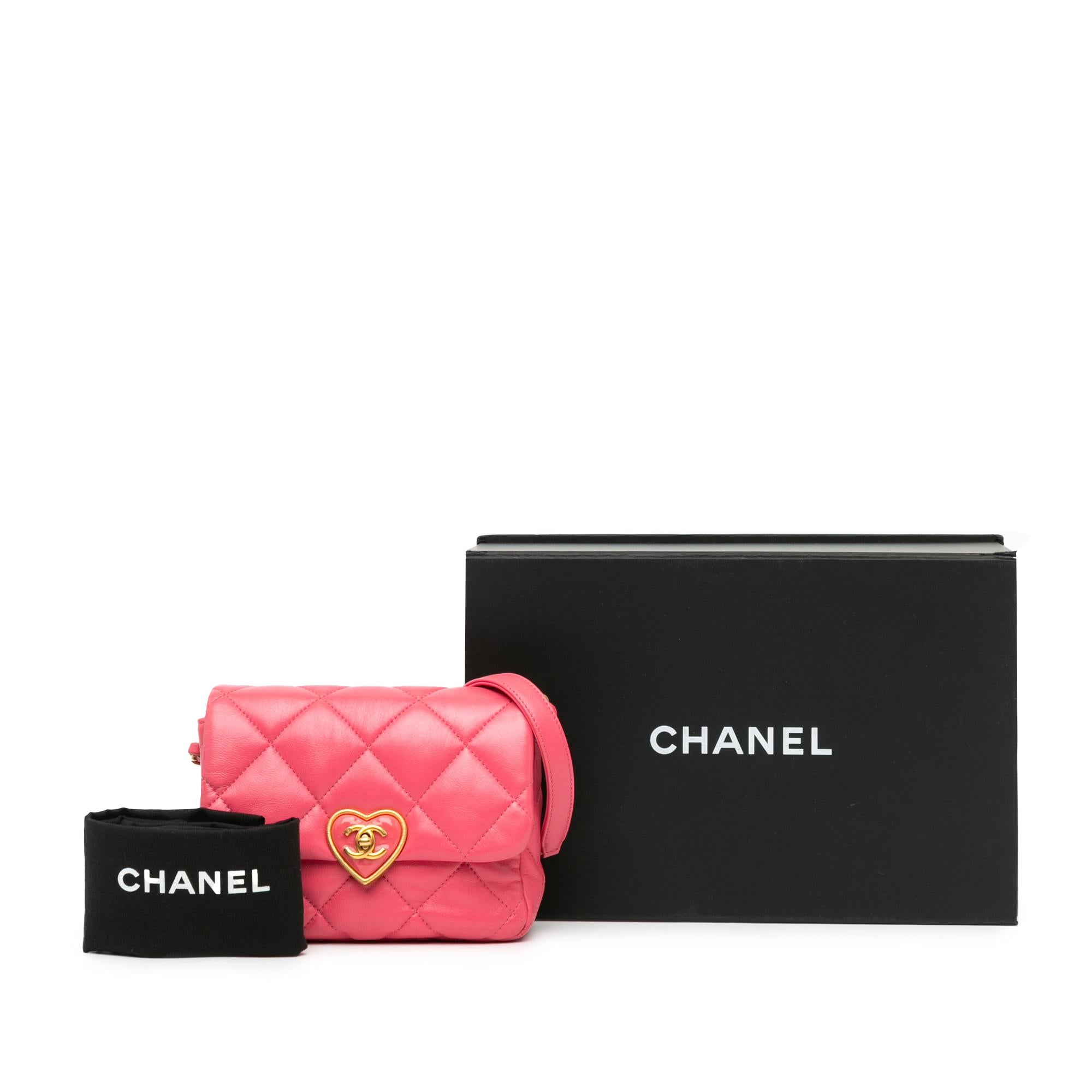 Chanel Mini Quilted Lambskin Acrylic Coco Love Flap