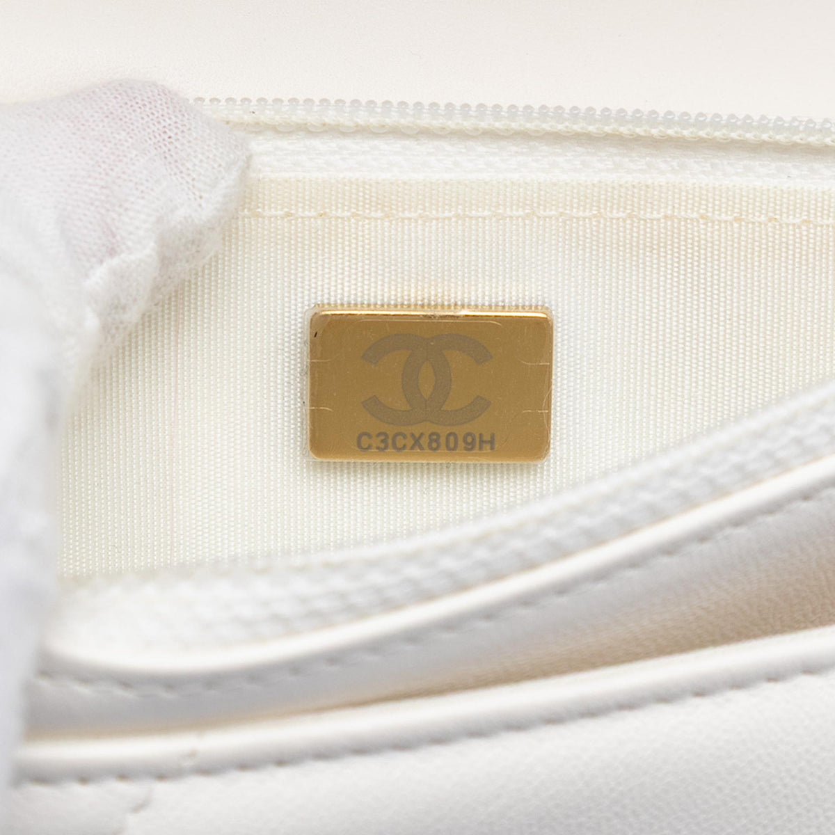 Chanel Quilted Lambskin 19 Wallet on Chain