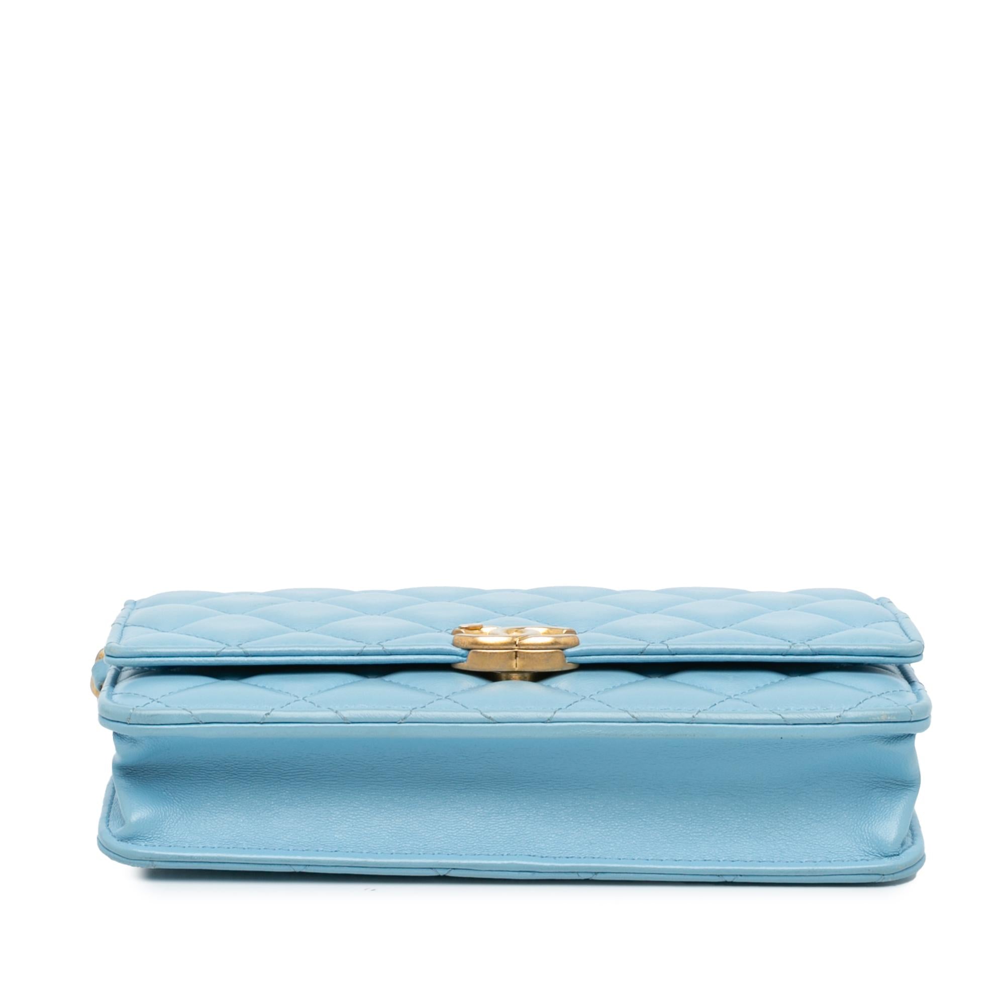 Chanel Quilted Lambskin Candy Chain Wallet on Chain