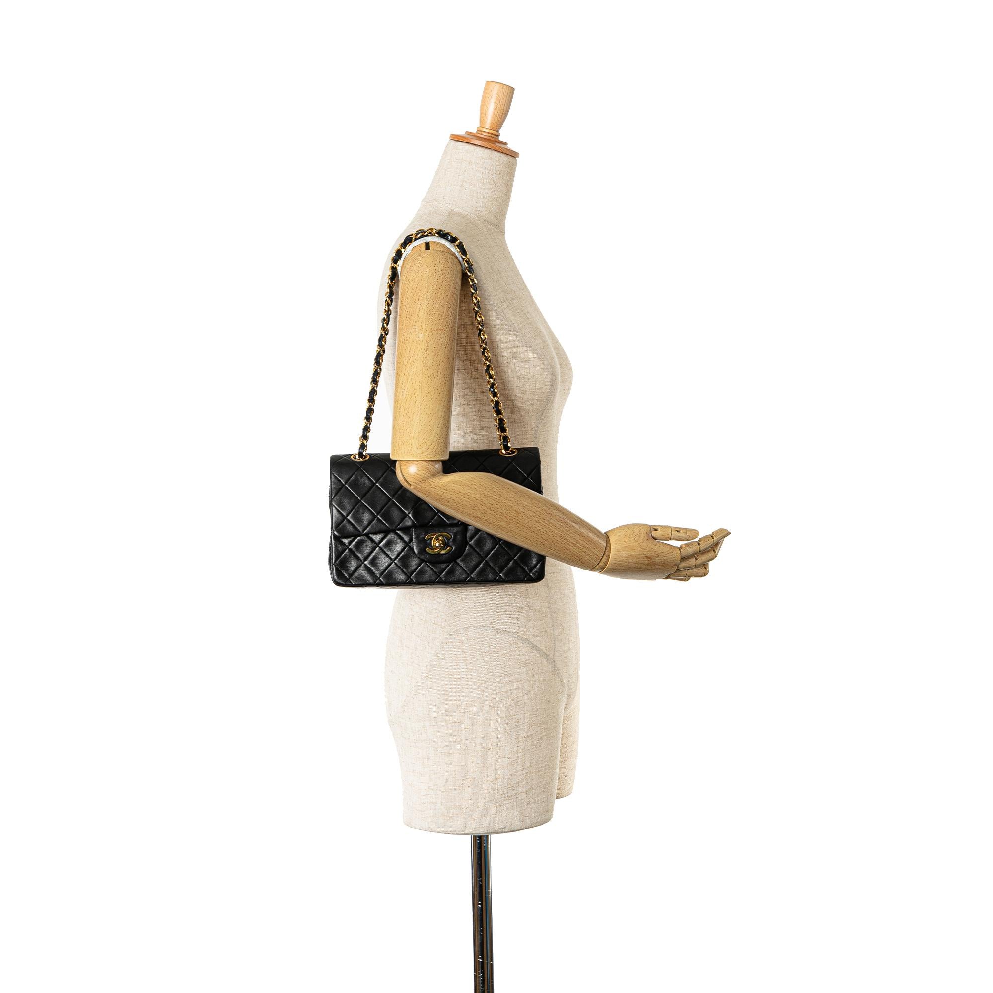 Chanel Small Classic Lambskin Double Flap (SHG-4PLN3c)