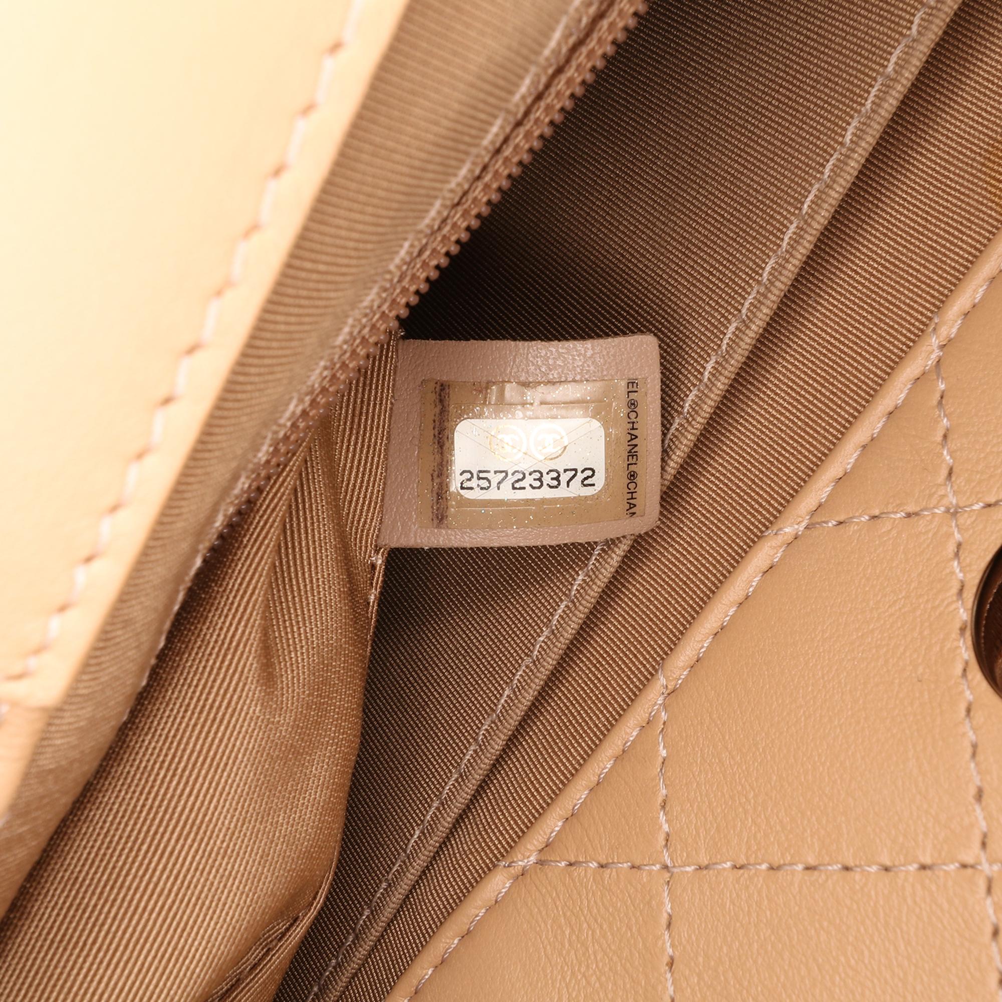 Chanel Small Quilted Calfskin Easy Shopping Tote