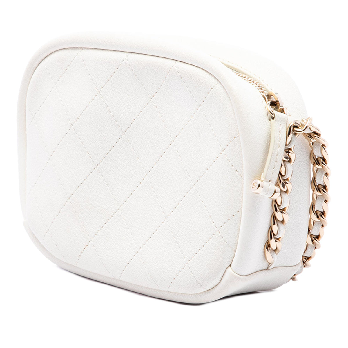 Chanel Small Quilted Goatskin Casual Trip Camera Bag