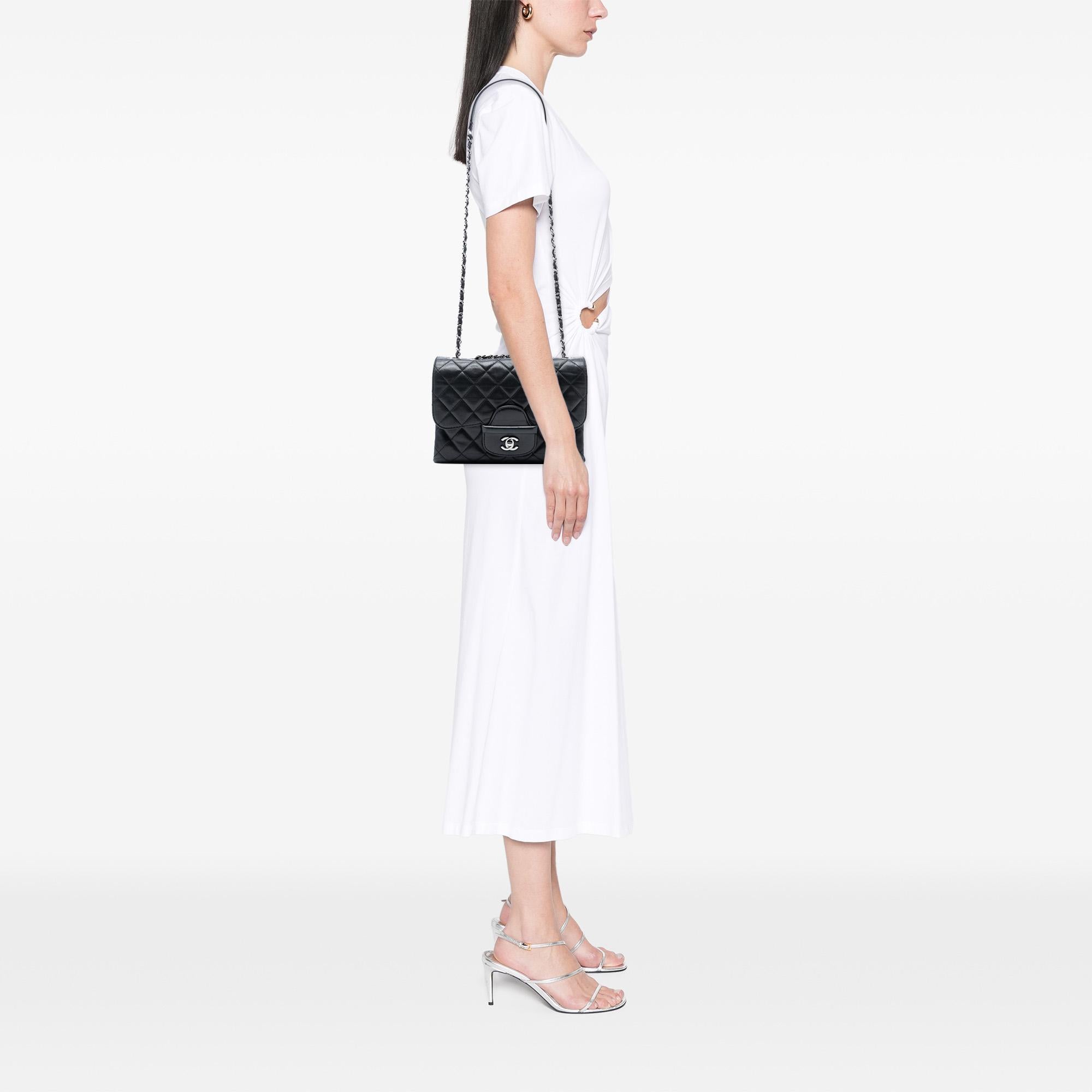 Chanel Small Quilted Lambskin Coco Loop Flap