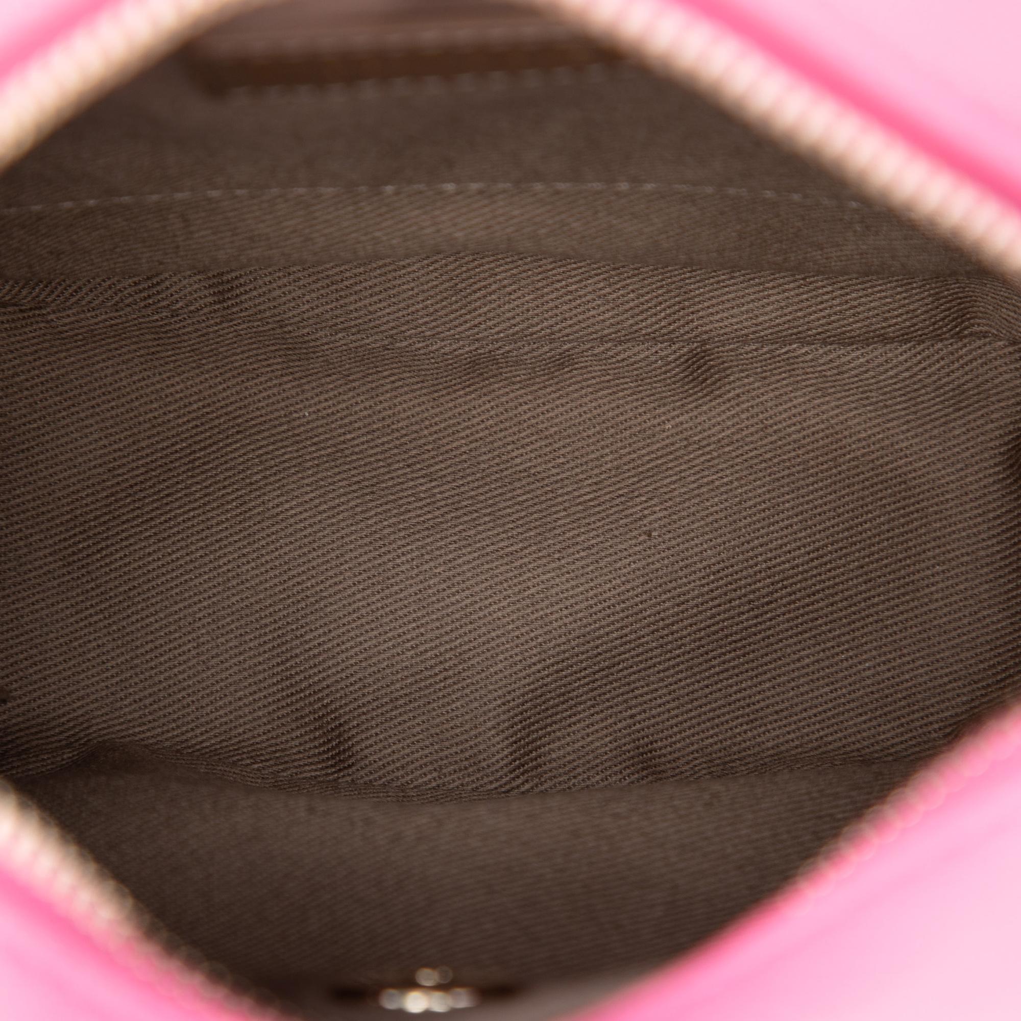 Chanel Stitched Goatskin Casual Trip North South Camera Case