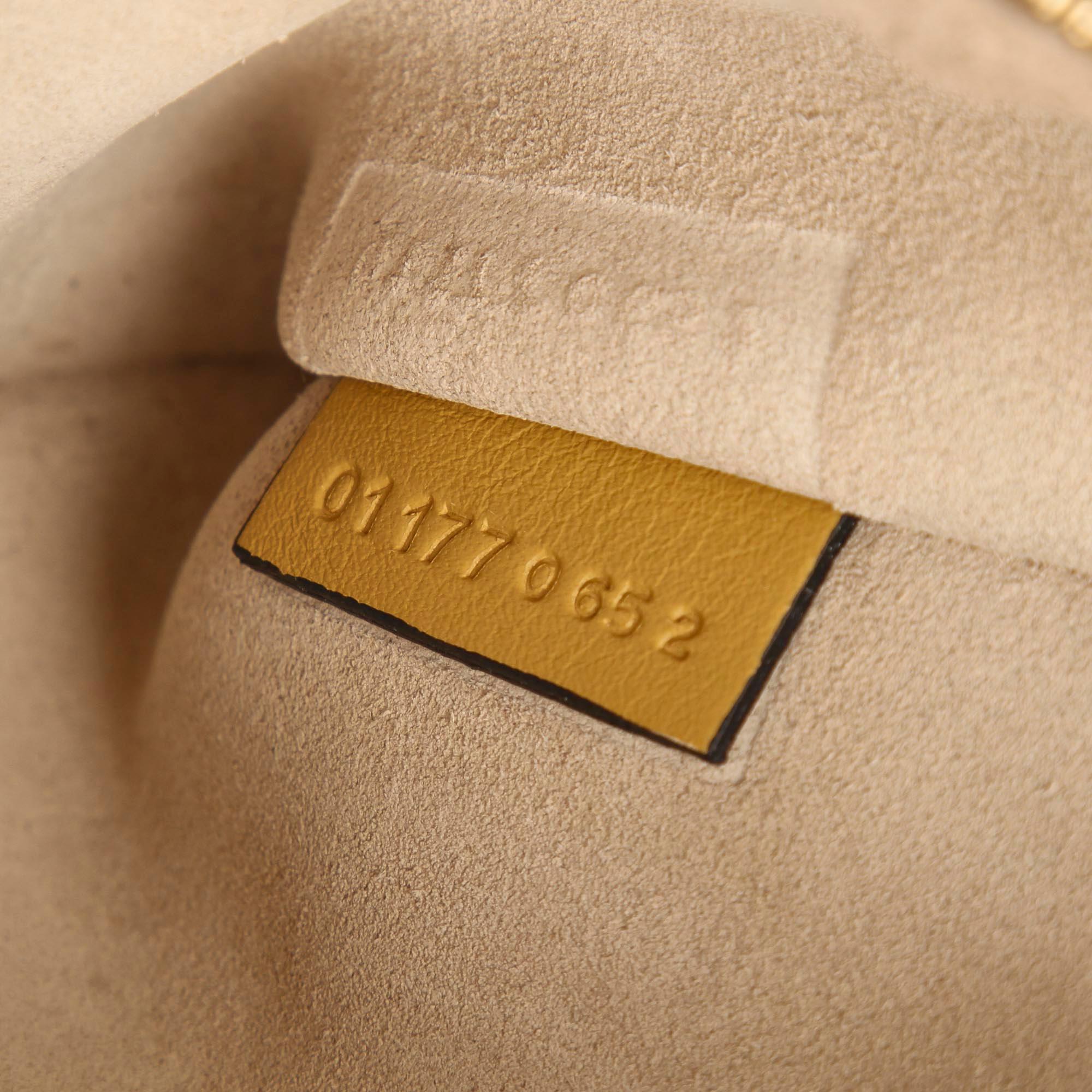 Chloe Faye Leather Shoulder Bag (SHG-ZzNzgV)