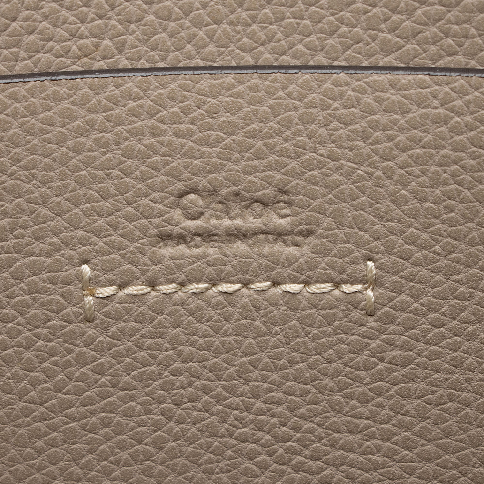 Chloe Grained Calfskin Darryl Medium Hobo