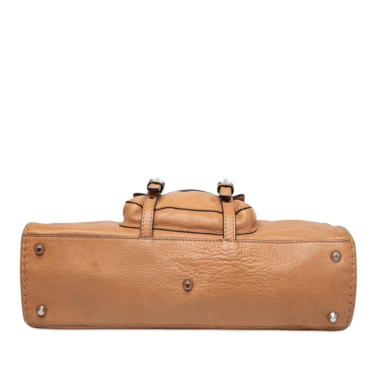 Chloe Medium Buffalo Leather Edith Day Satchel