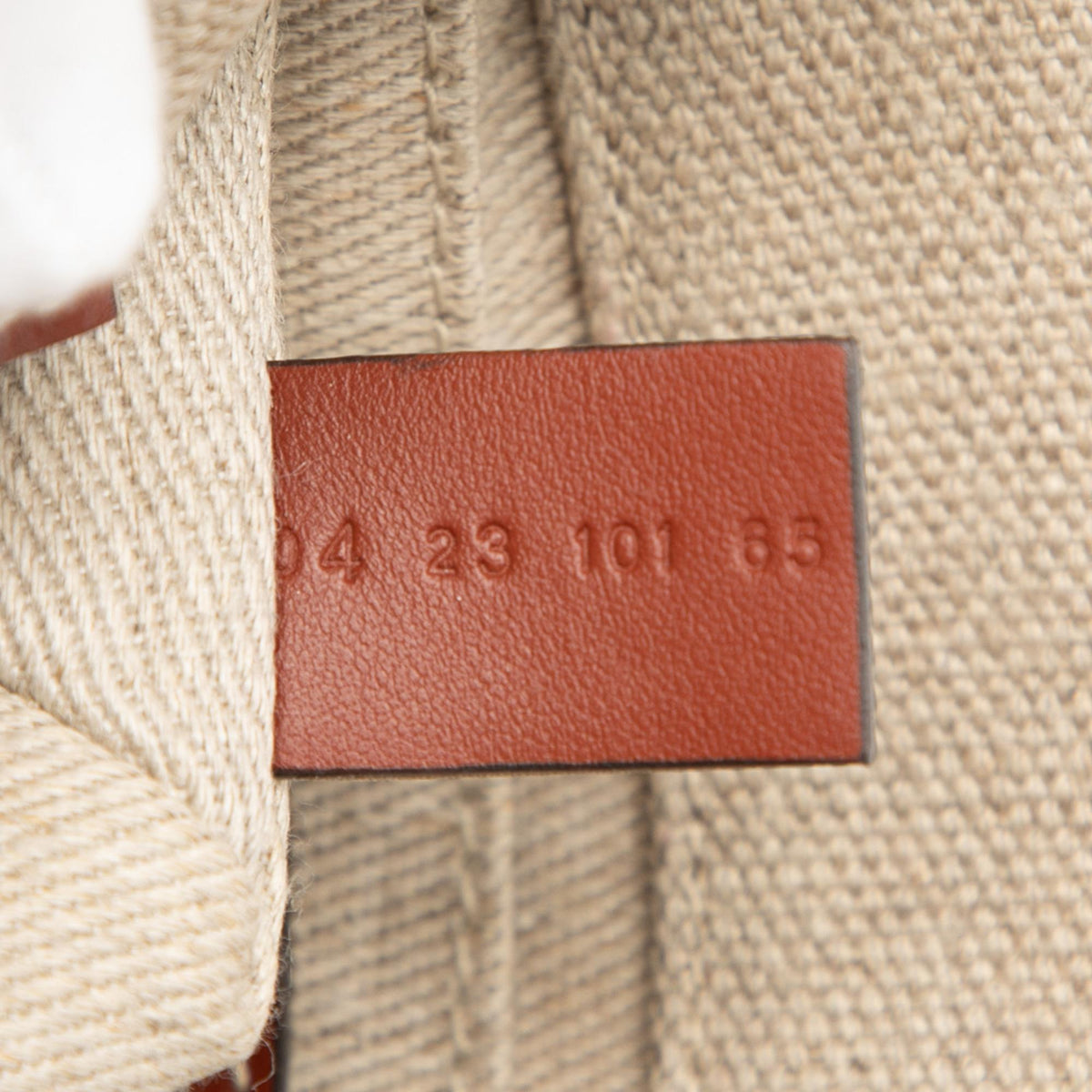 Chloe Mini Canvas Woody Satchel