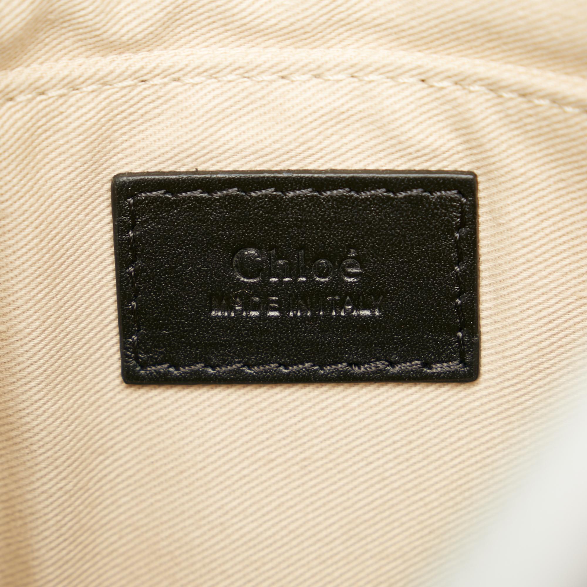 Chloe Roy Leather Shoulder Bag (SHG-3nnAUi)