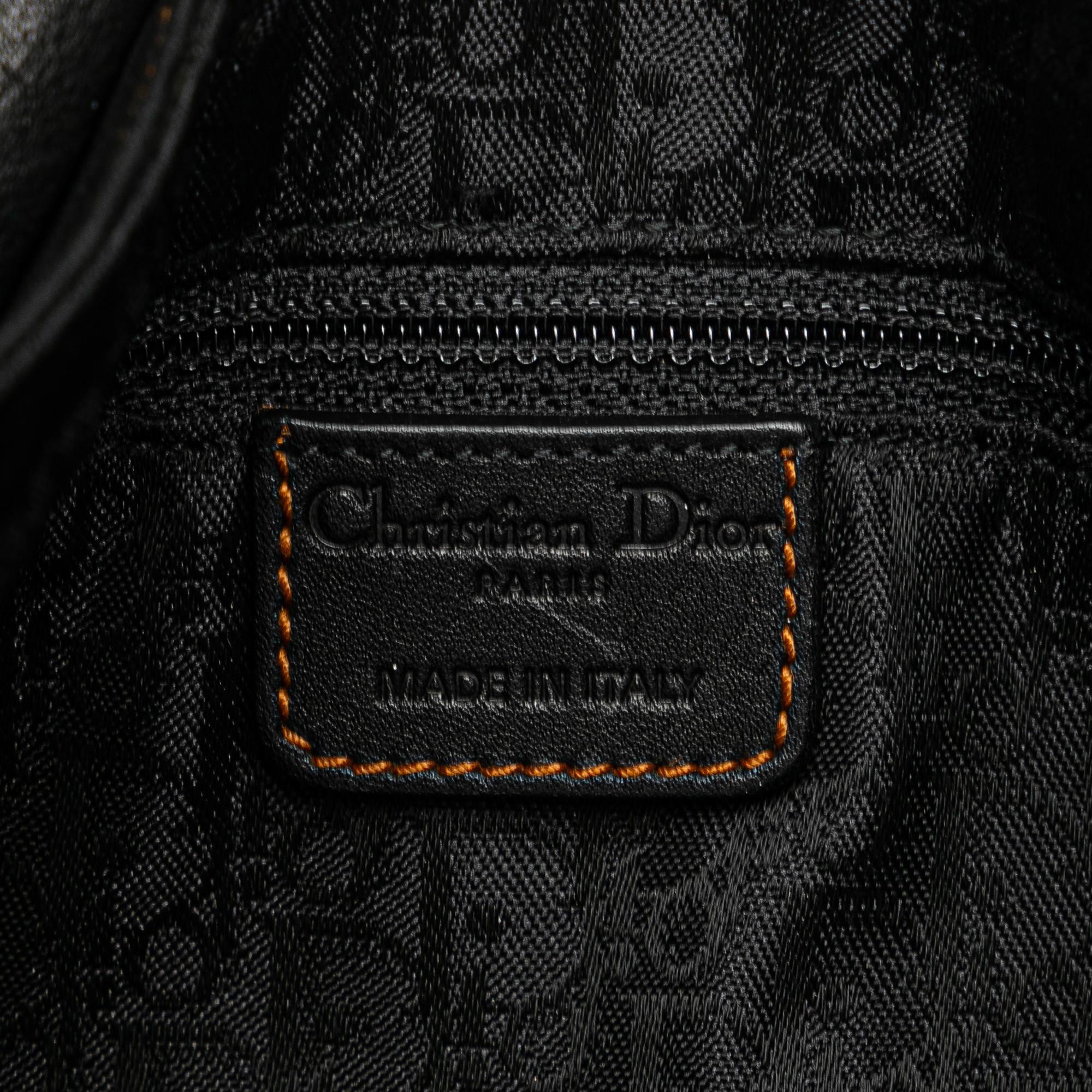 Dior Calfskin Gaucho Double Saddle Shoulder Bag (SHG-XIEEW1)
