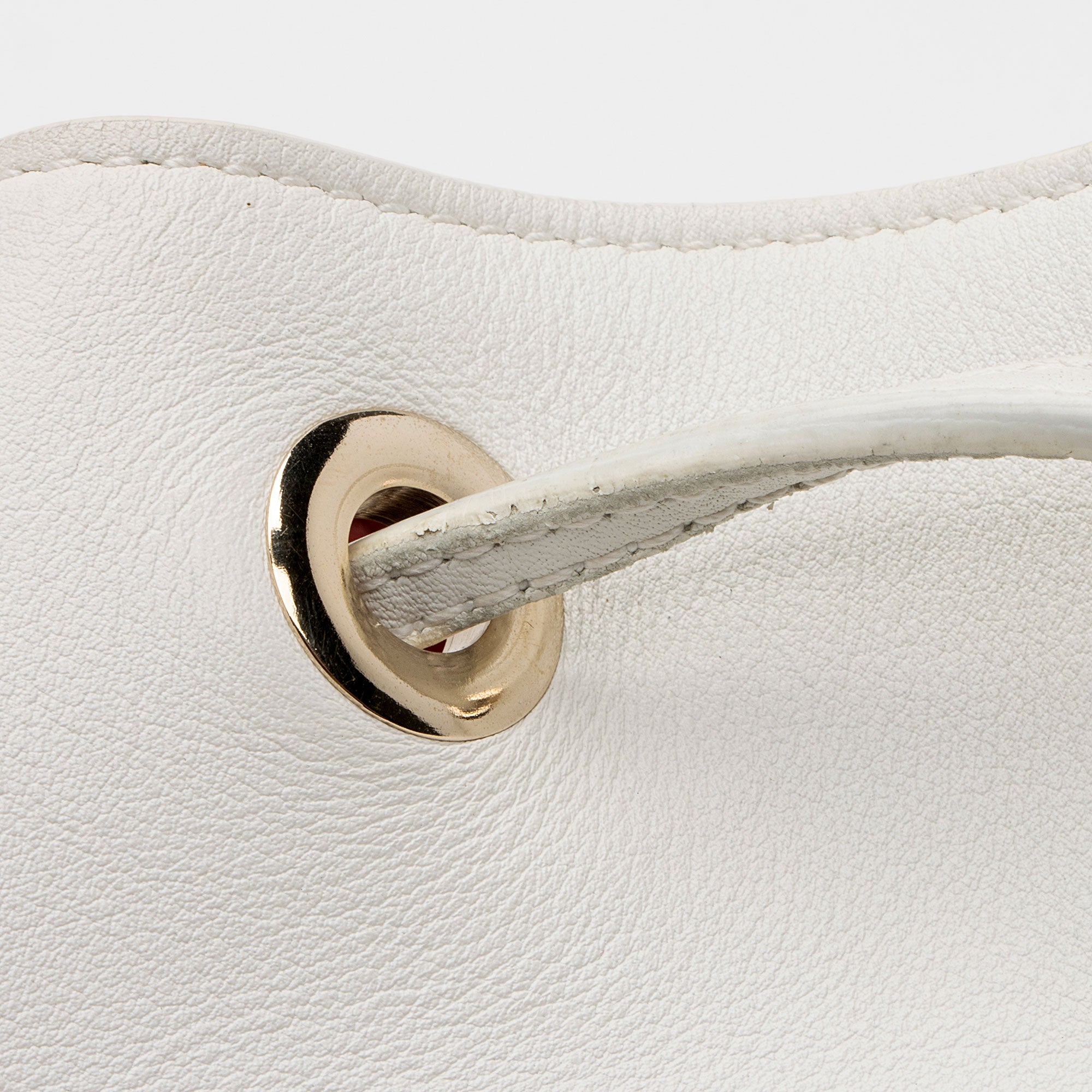Dior Calfskin Snakeskin Paradise Bubble Bucket Bag