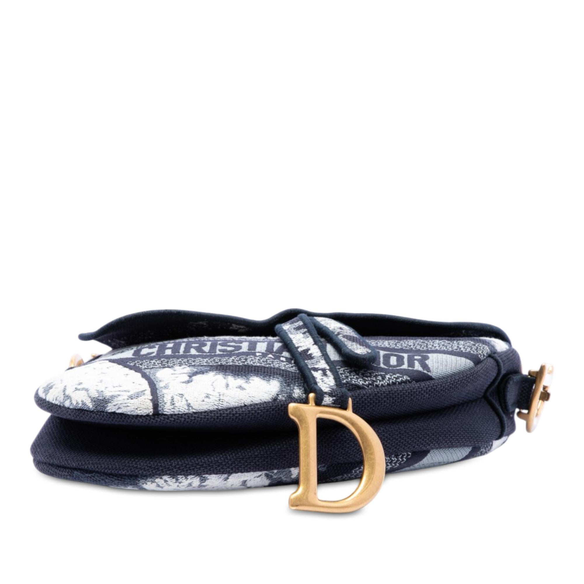 Dior Canvas Embroidered Tie Dye Saddle Bag