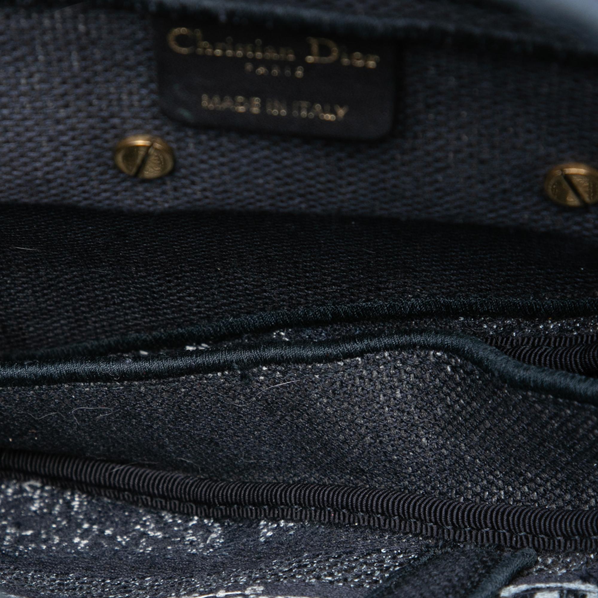 Dior Canvas Embroidered Tie Dye Saddle Bag