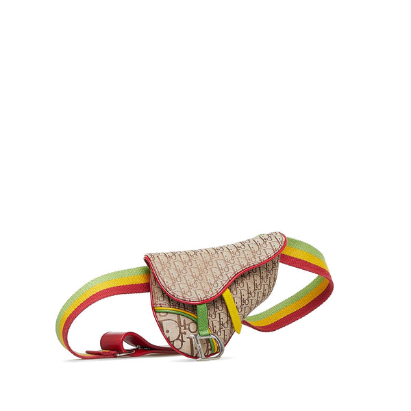 Dior Dior Oblique Saddle Rasta Belt Bag (SHG-UFHVNe) – LuxeDH