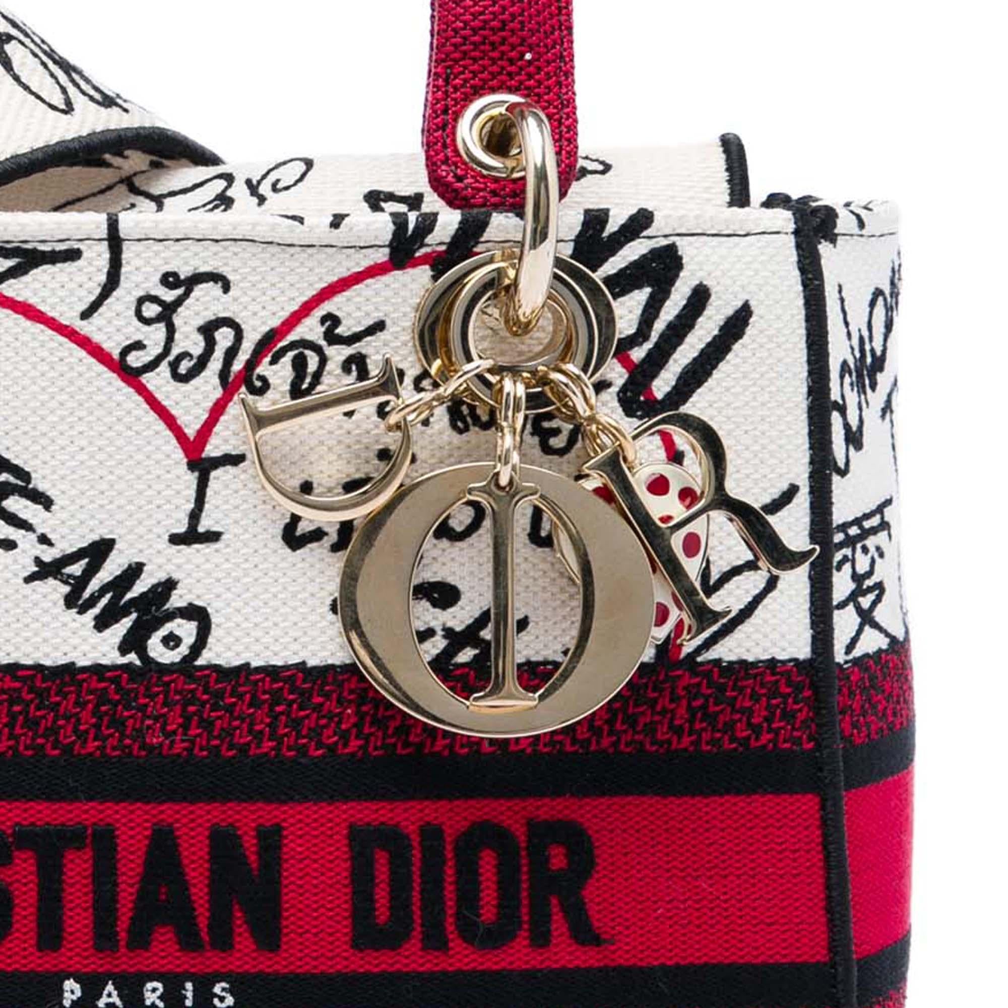 Dior DiorAmour Medium Embroidered Canvas Graffiti Lady D Lite