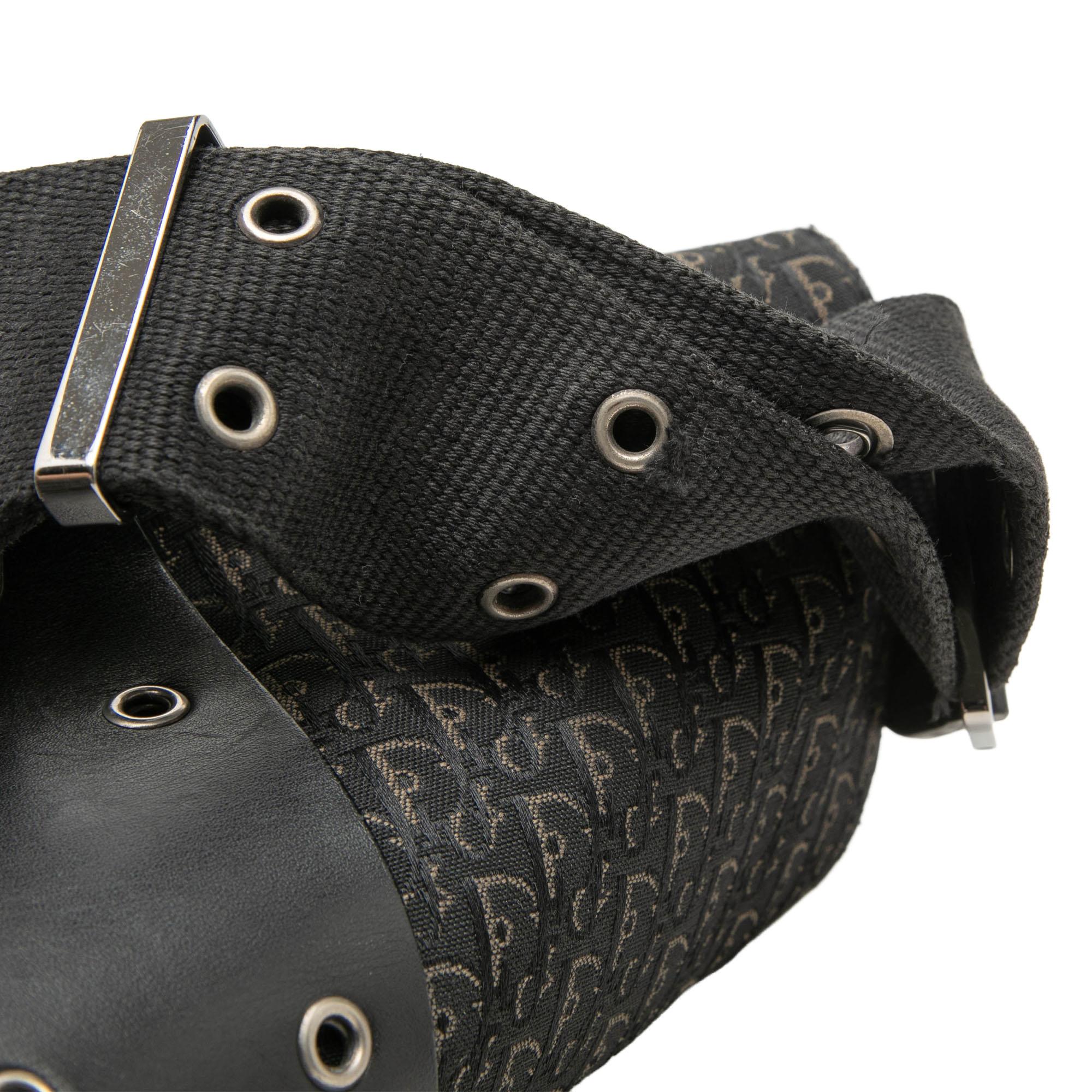 Dior Diorissimo Trotter Canvas Street Chic Crossbody